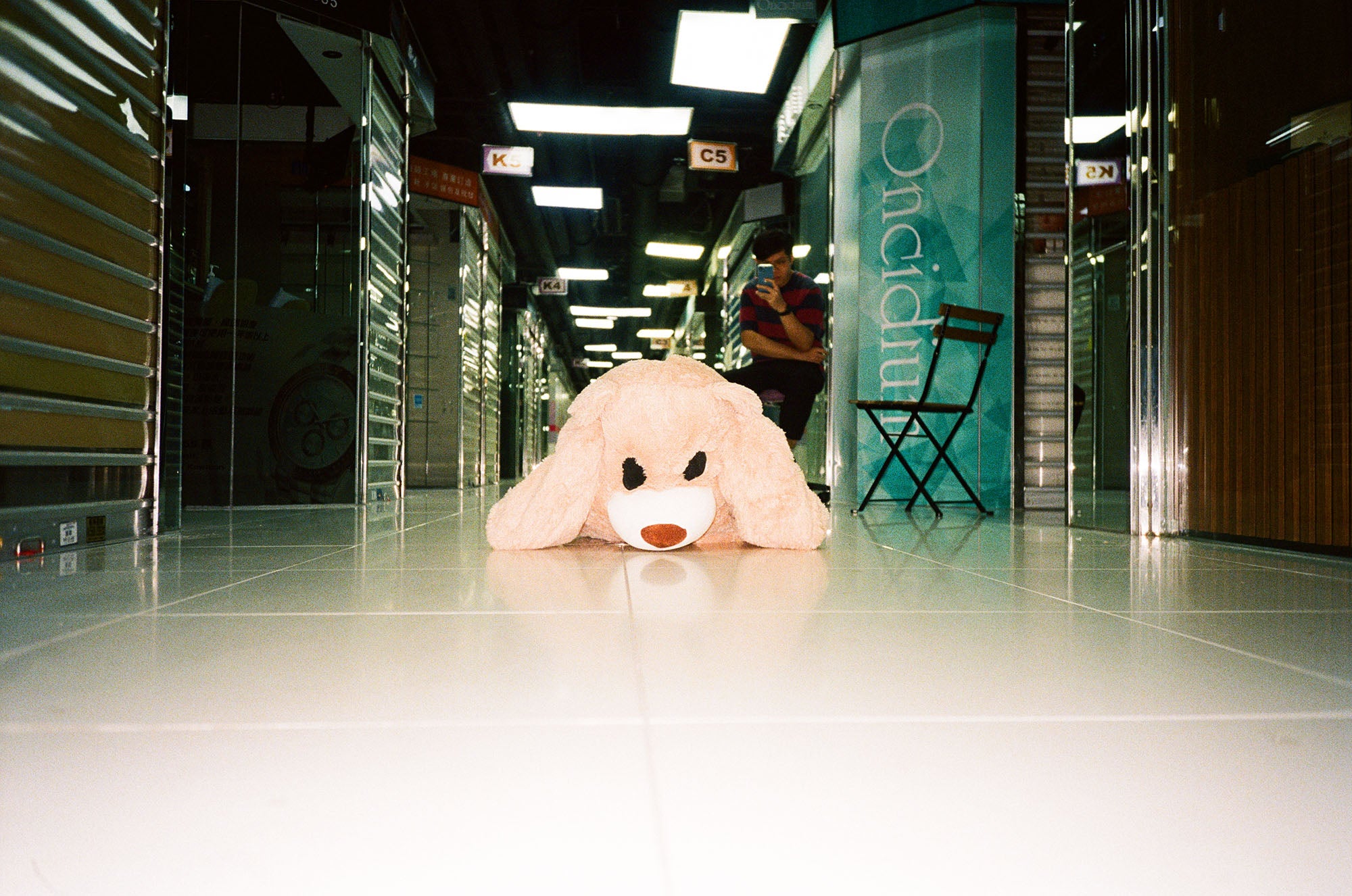 Kodak Portra 400 C-41 135 36EXP 彩色負片菲林 Color Negative film 感光度Iso: 400