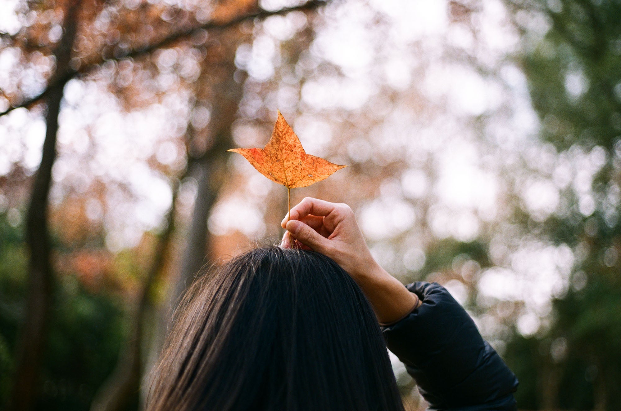 富士 Fujifilm Fujicolor100 C-41 135 36EXP 彩色負片菲林 Color Negative film 感光度Iso: 100