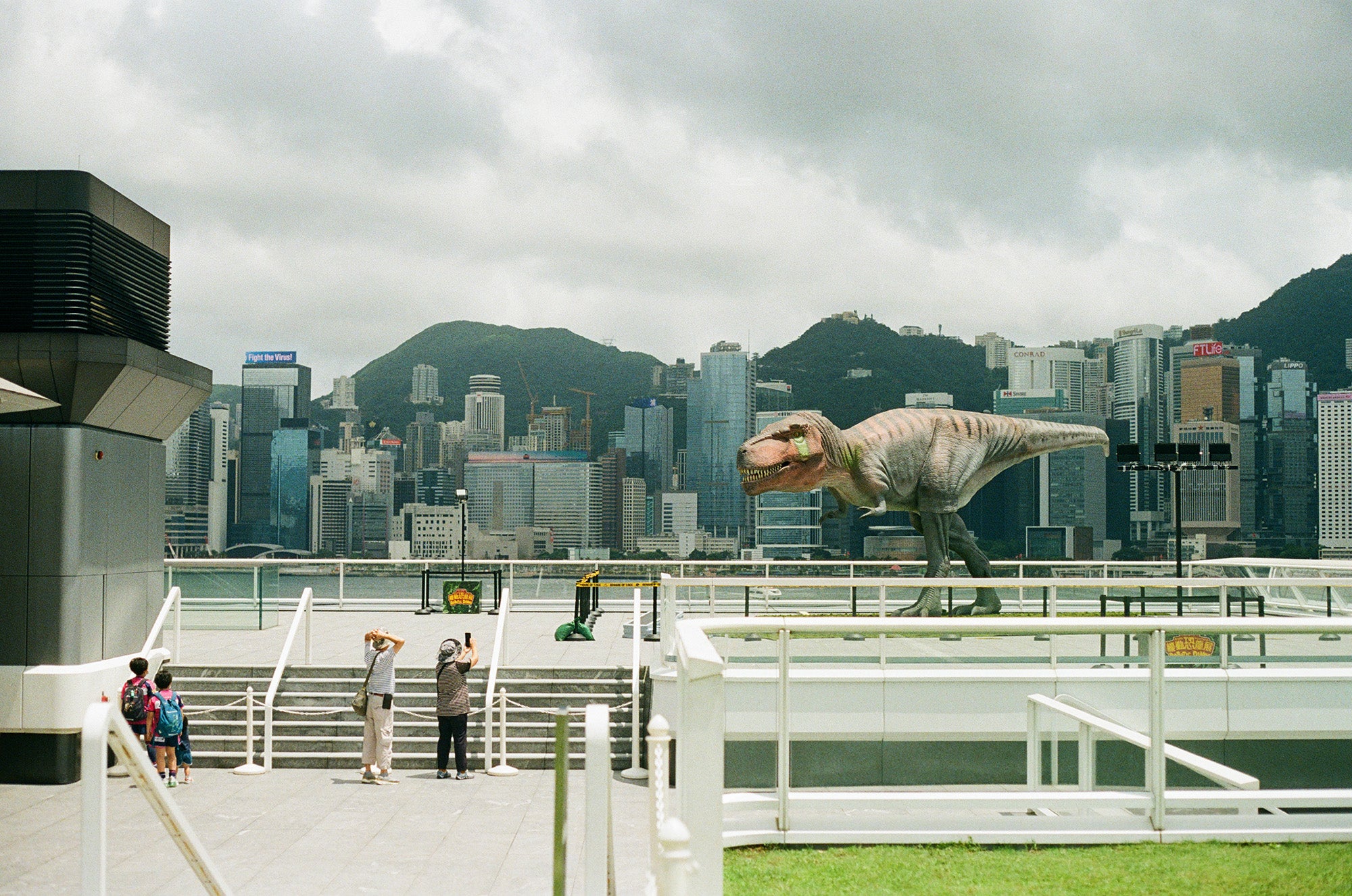 Lomography 800 - 135 Single
