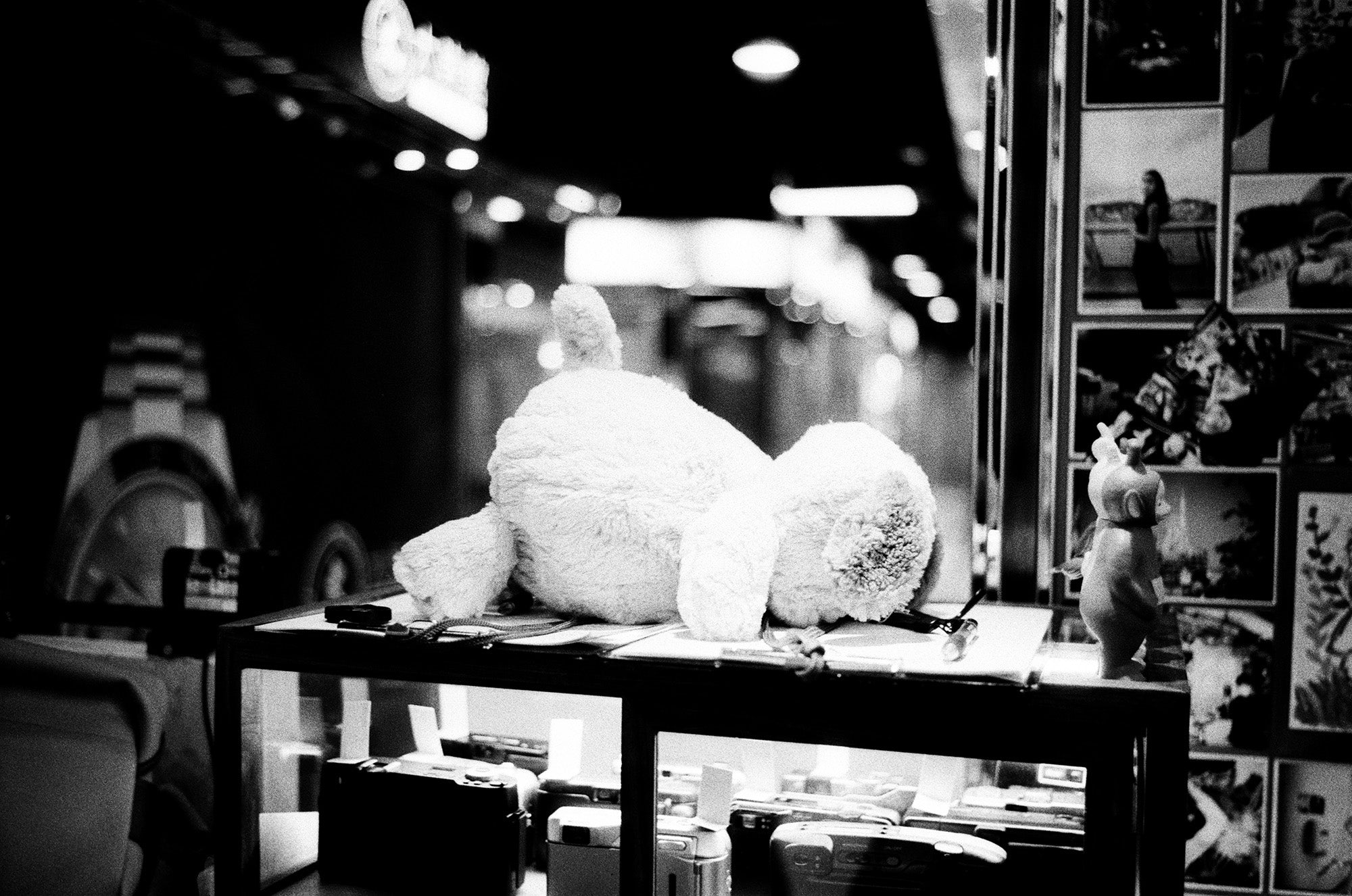慢曝T5SWF5222 B&W 135 電影黑白菲林 Black & White motion picture film 感光度Iso: 250