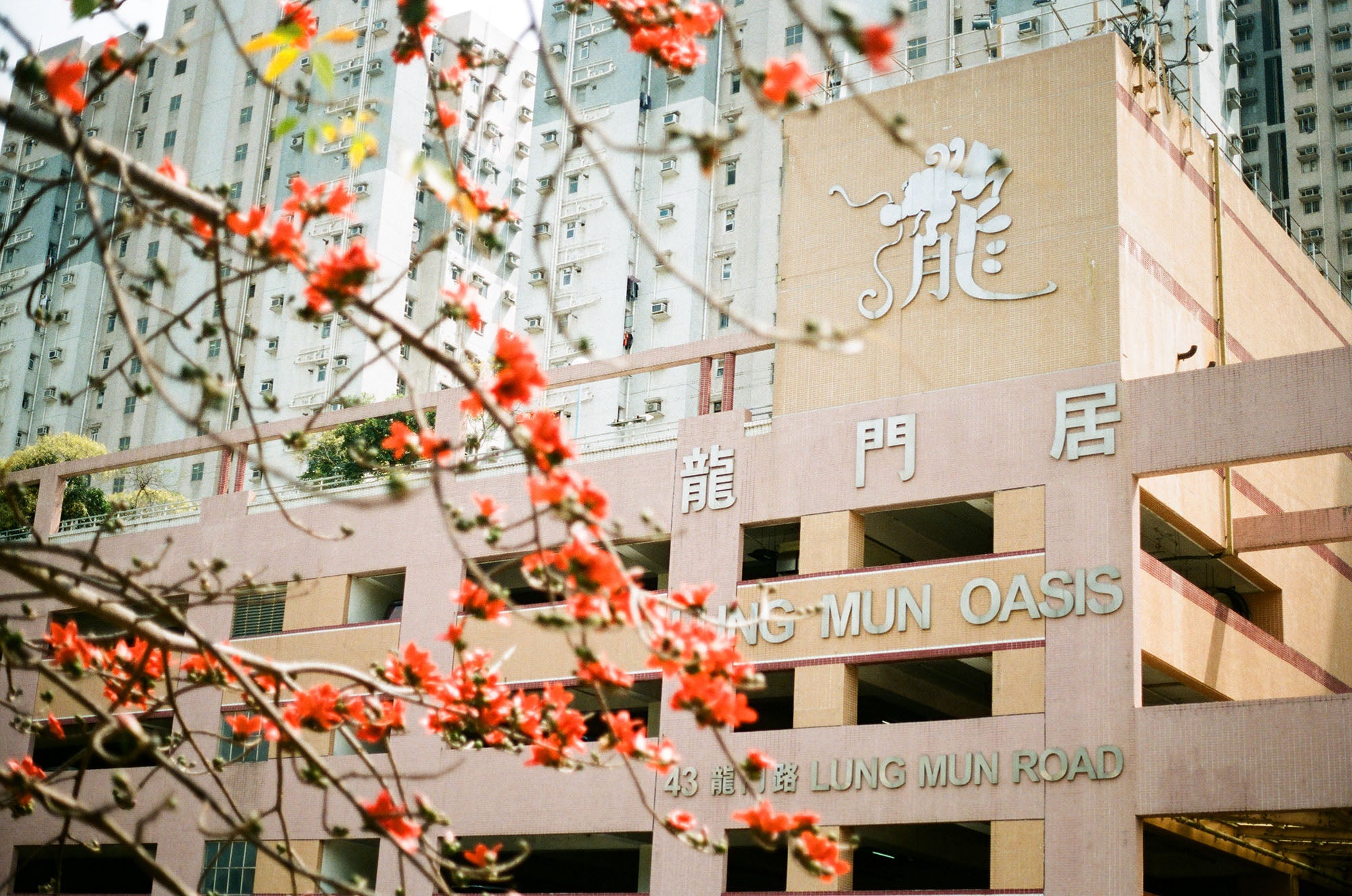 富士 Fujifilm400 C-41 135 36EXP 彩色負片菲林 Color Negative film 感光度Iso: 400