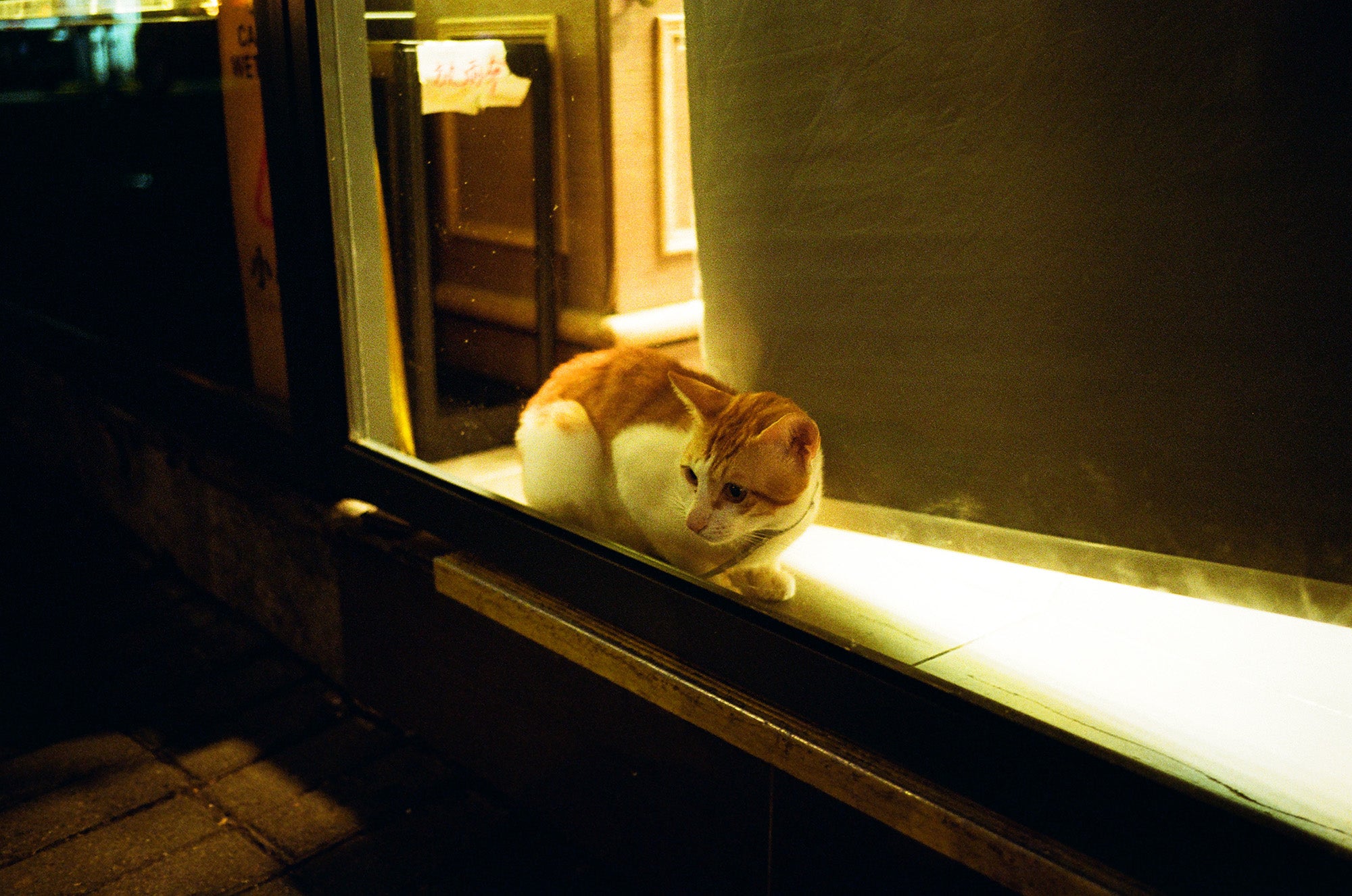 Kodak Ultramax400 C-41 135 36EXP 彩色負片菲林 Color Negative film 感光度Iso: 400