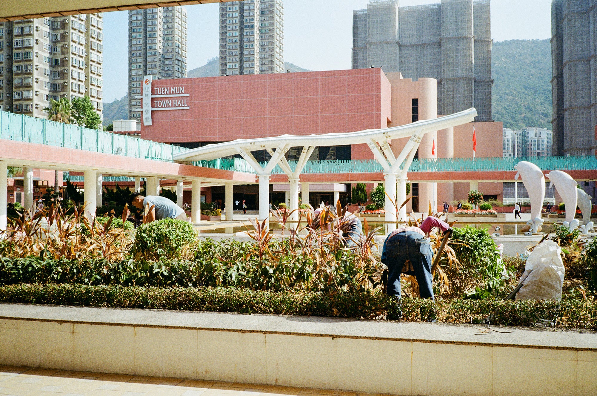 Kodak ColorPlus200 C-41 135 36EXP 彩色負片菲林 Color Negative film 感光度Iso: 200
