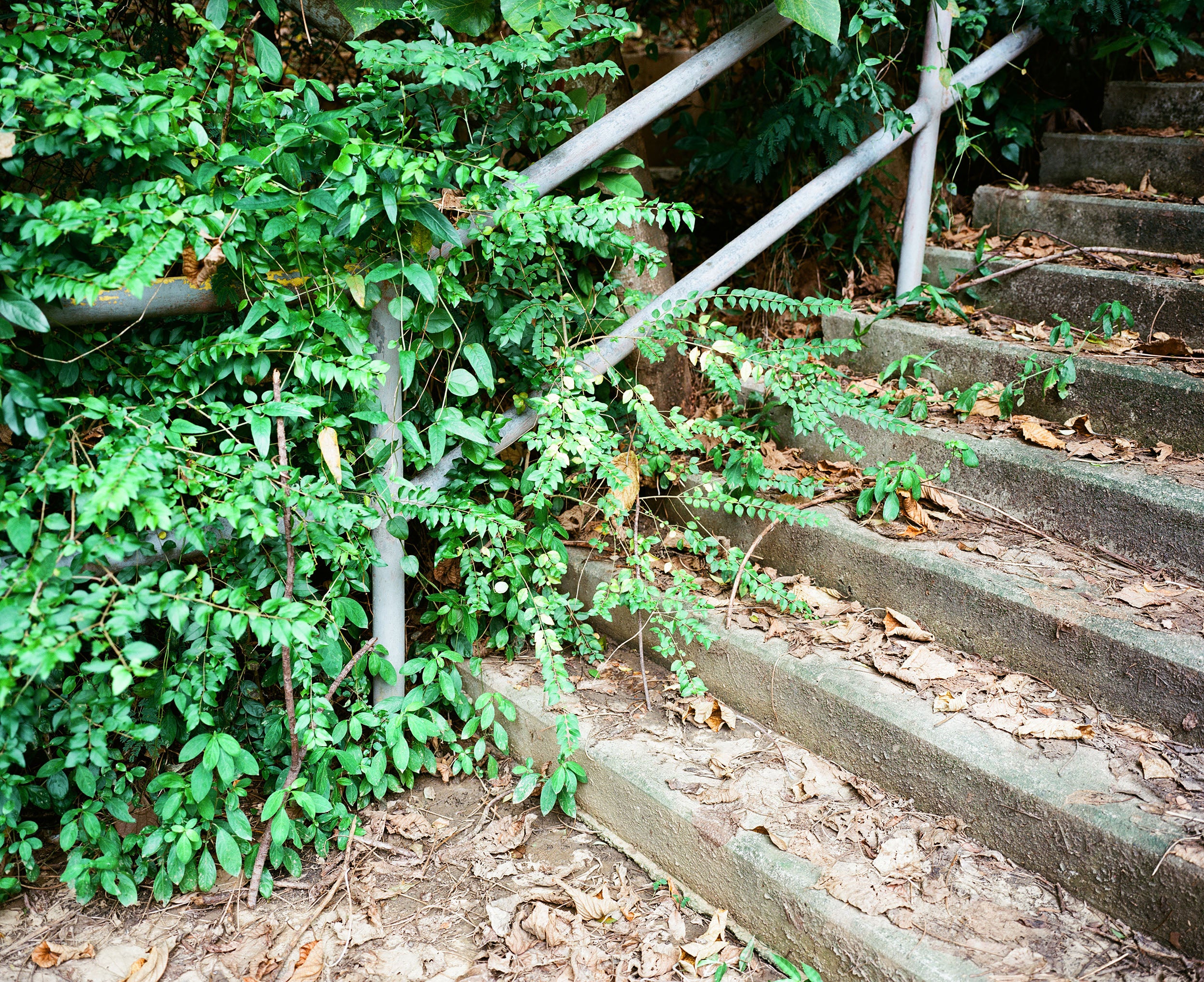 Kodak Ektar 100 C-41 120 彩色負片菲林 Color Negative film 感光度Iso: 100