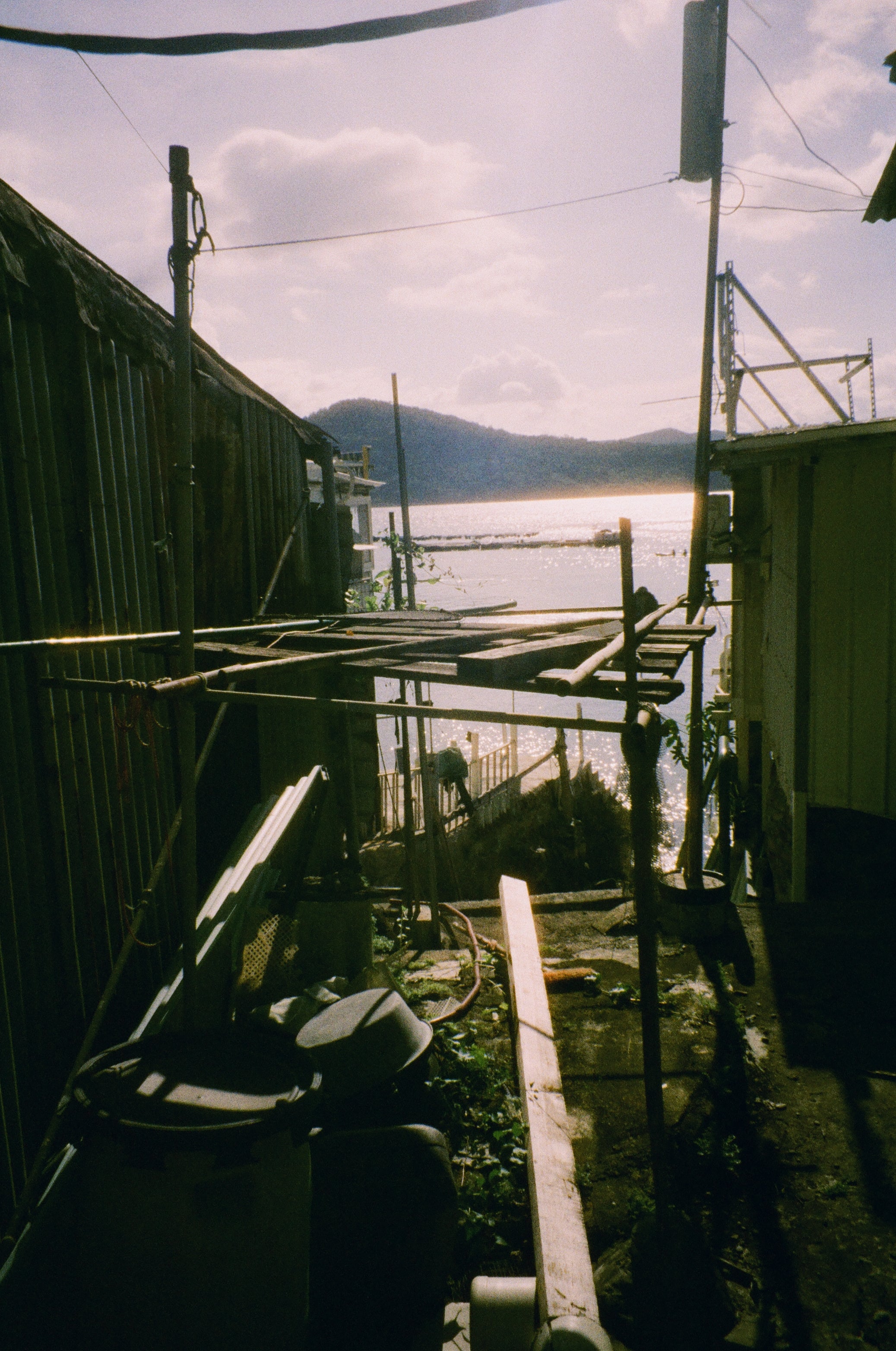 HARMAN Phoenix II C-41 135 36EXP 彩色負片菲林 Color Negative film 感光度Iso: 200