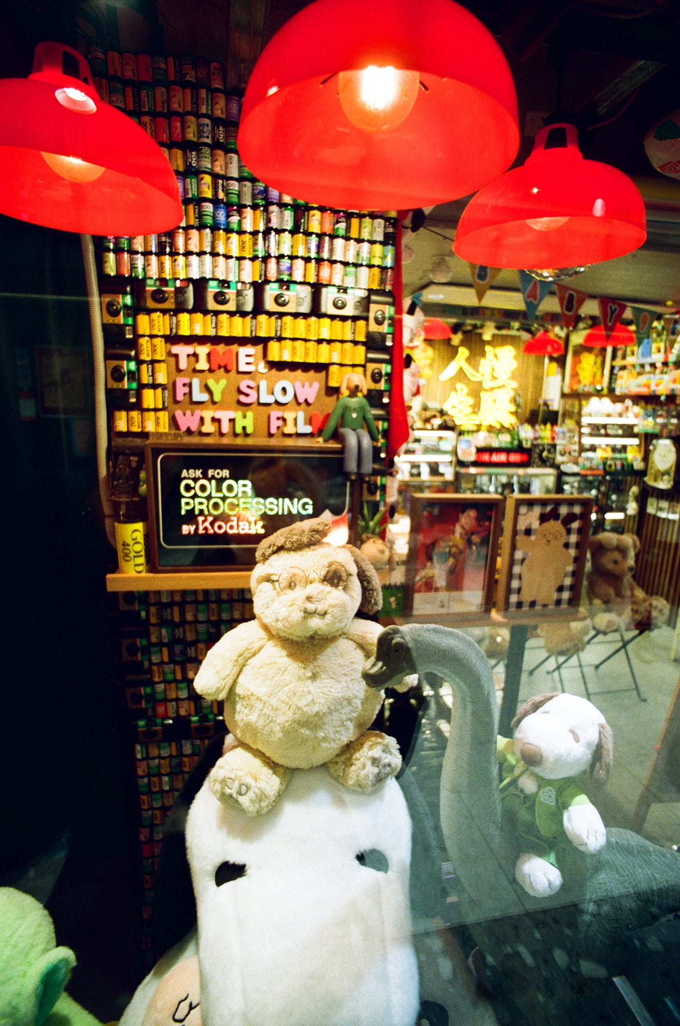 Kodak 柯達 Portra 800 36 EXP 彩色負片菲林 C-41 Color Negative film 感光度Iso:800