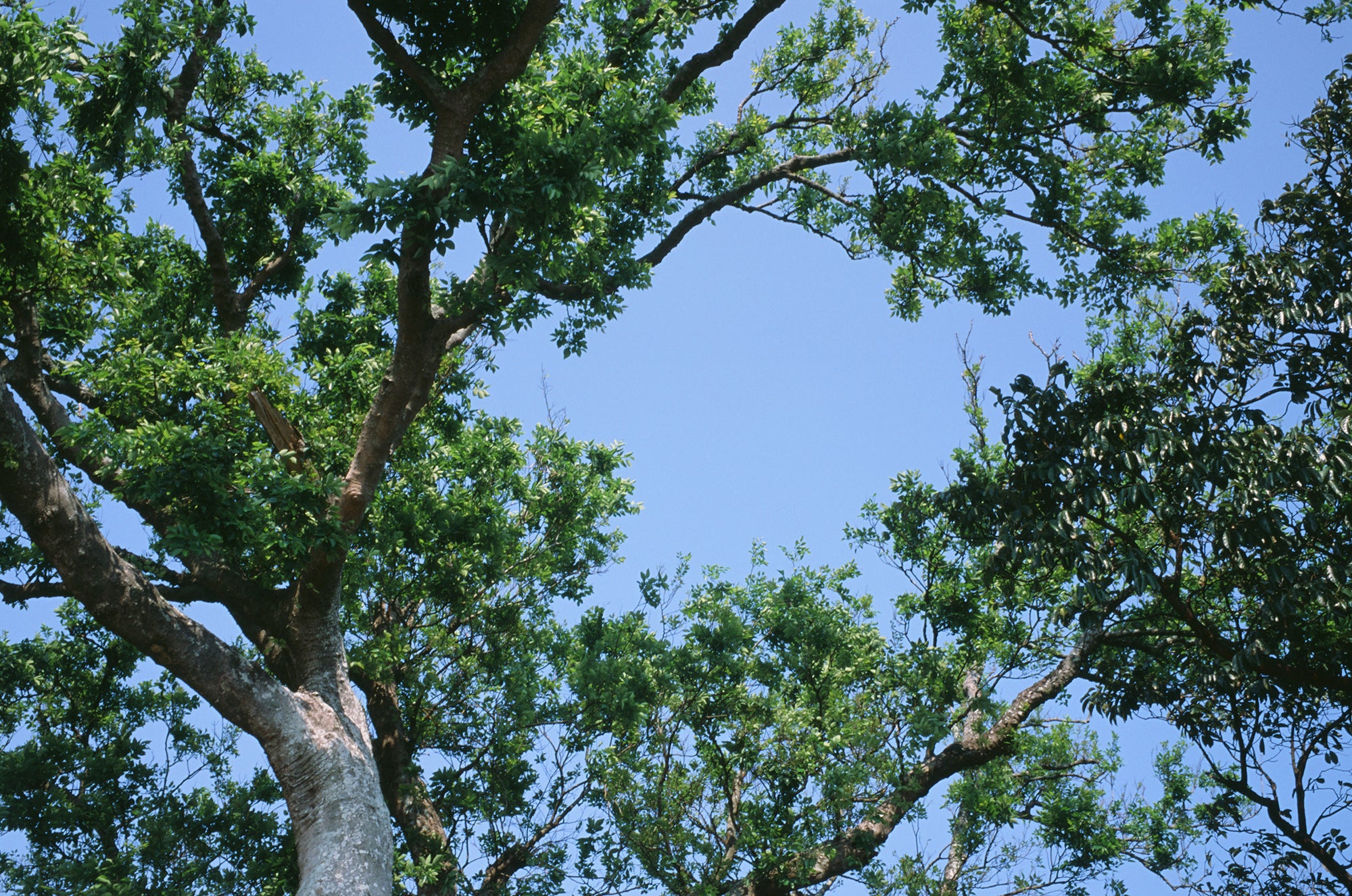 Fujifilm Provia 100F 135 富士專業正片E-6 (2027)