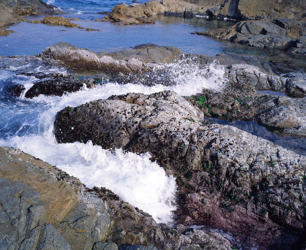 柯達(Kodak)Professional Ektachrome E100 120 彩色正片菲林 E-6