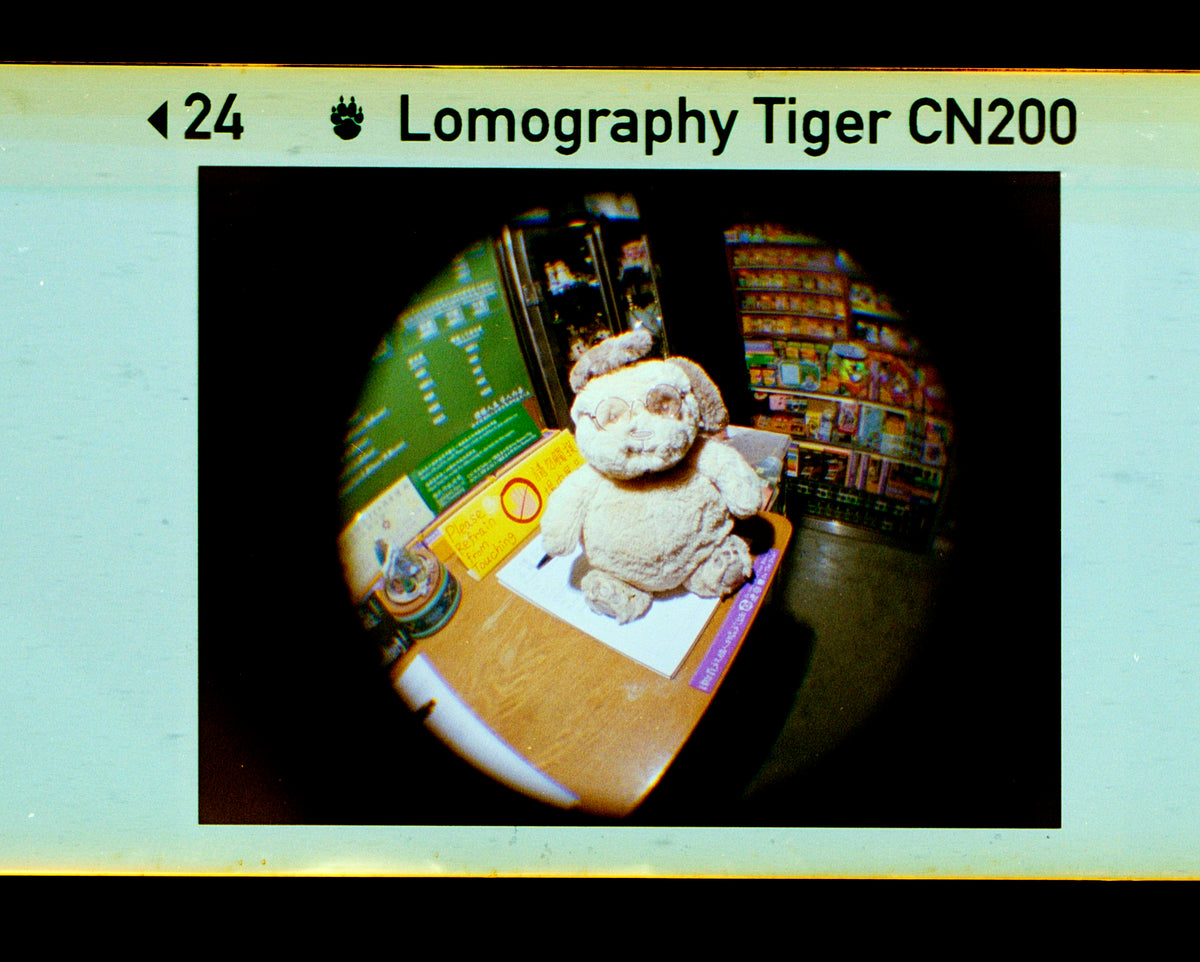 Lomography Fisheye Baby Bauhaus Edition