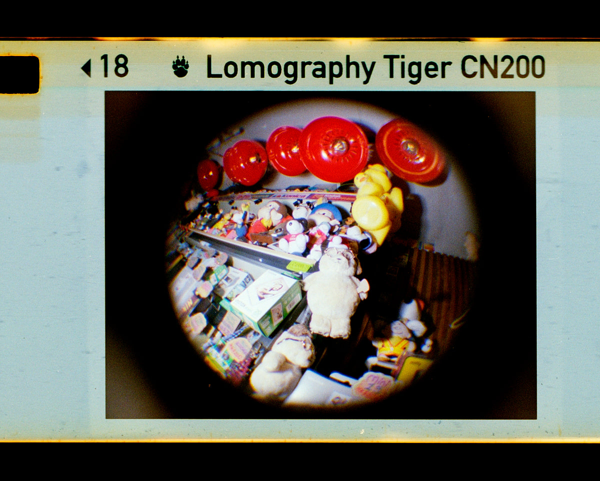 Lomography Fisheye Baby Bauhaus Edition