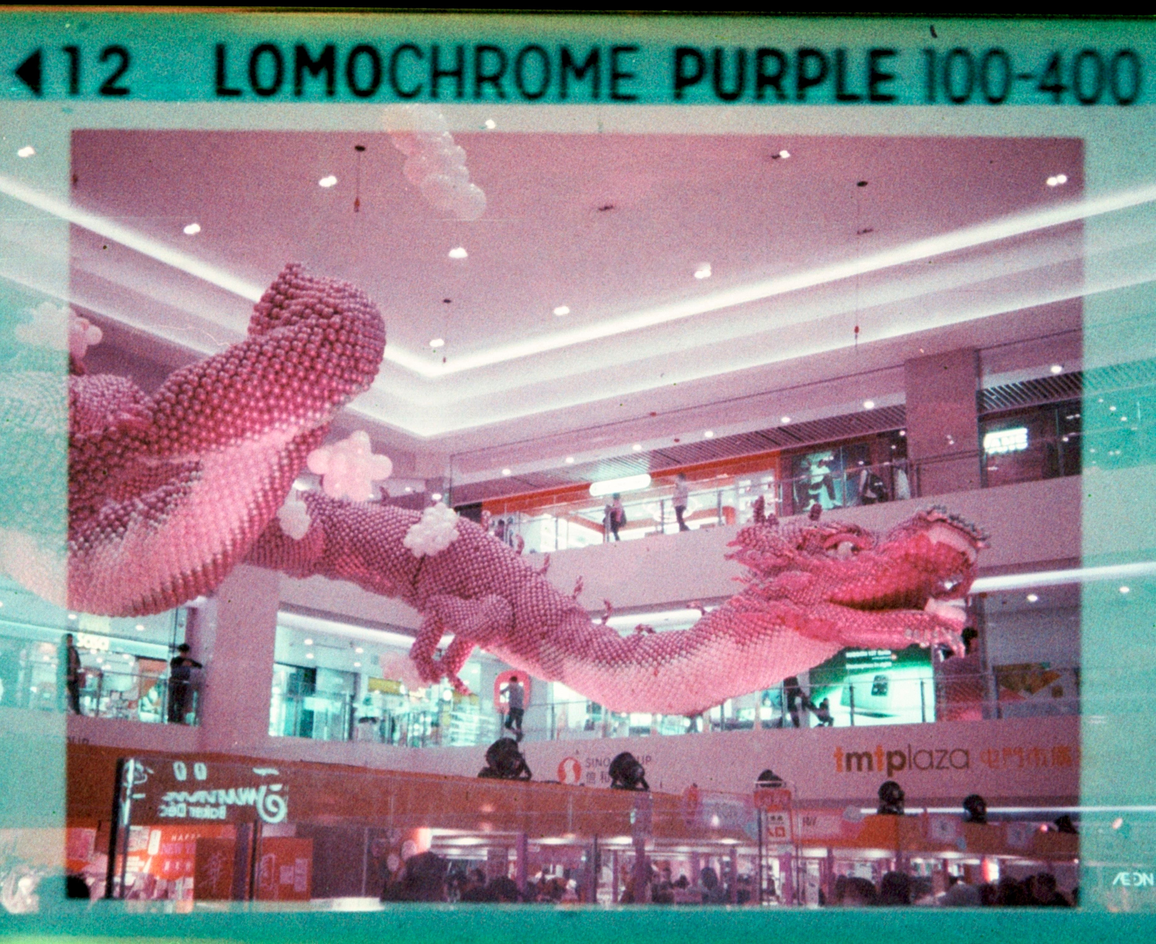 Lomo Lomography LomoChrome Purple ISO 100–400 110 Film紫調負片