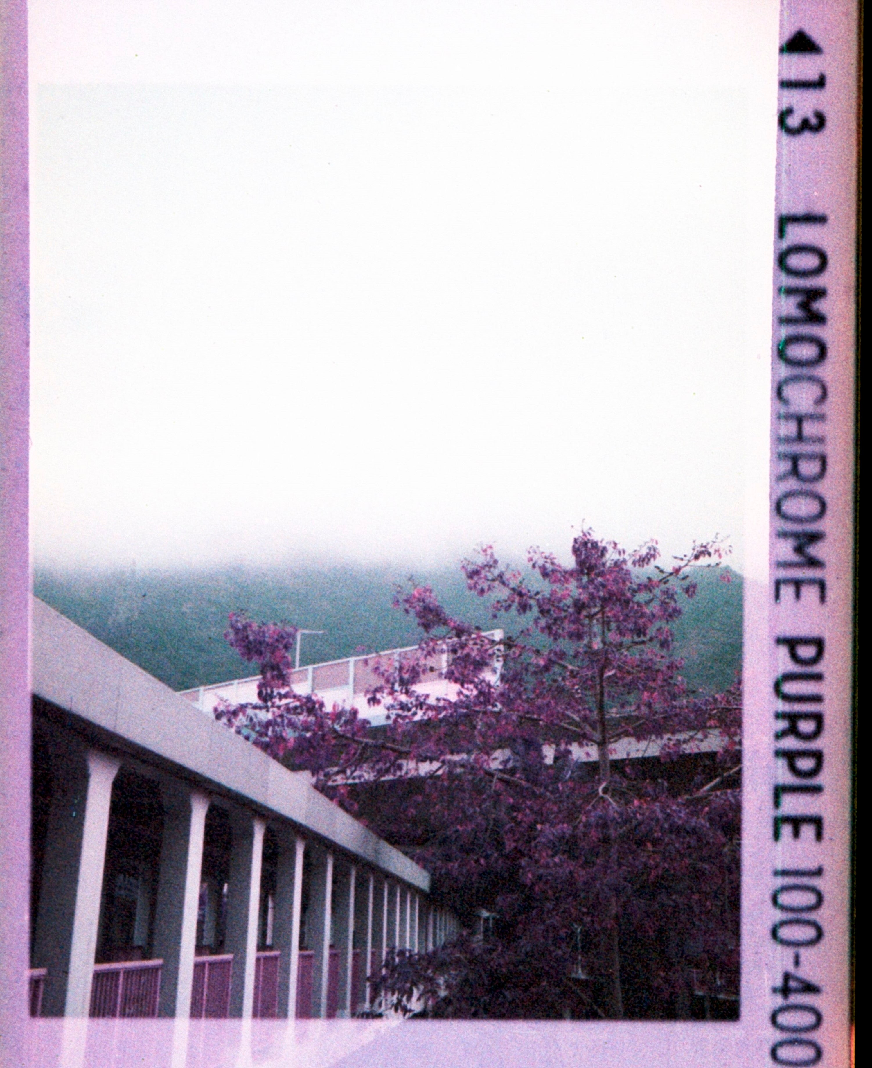 Lomo Lomography LomoChrome Purple ISO 100–400 110 Film紫調負片