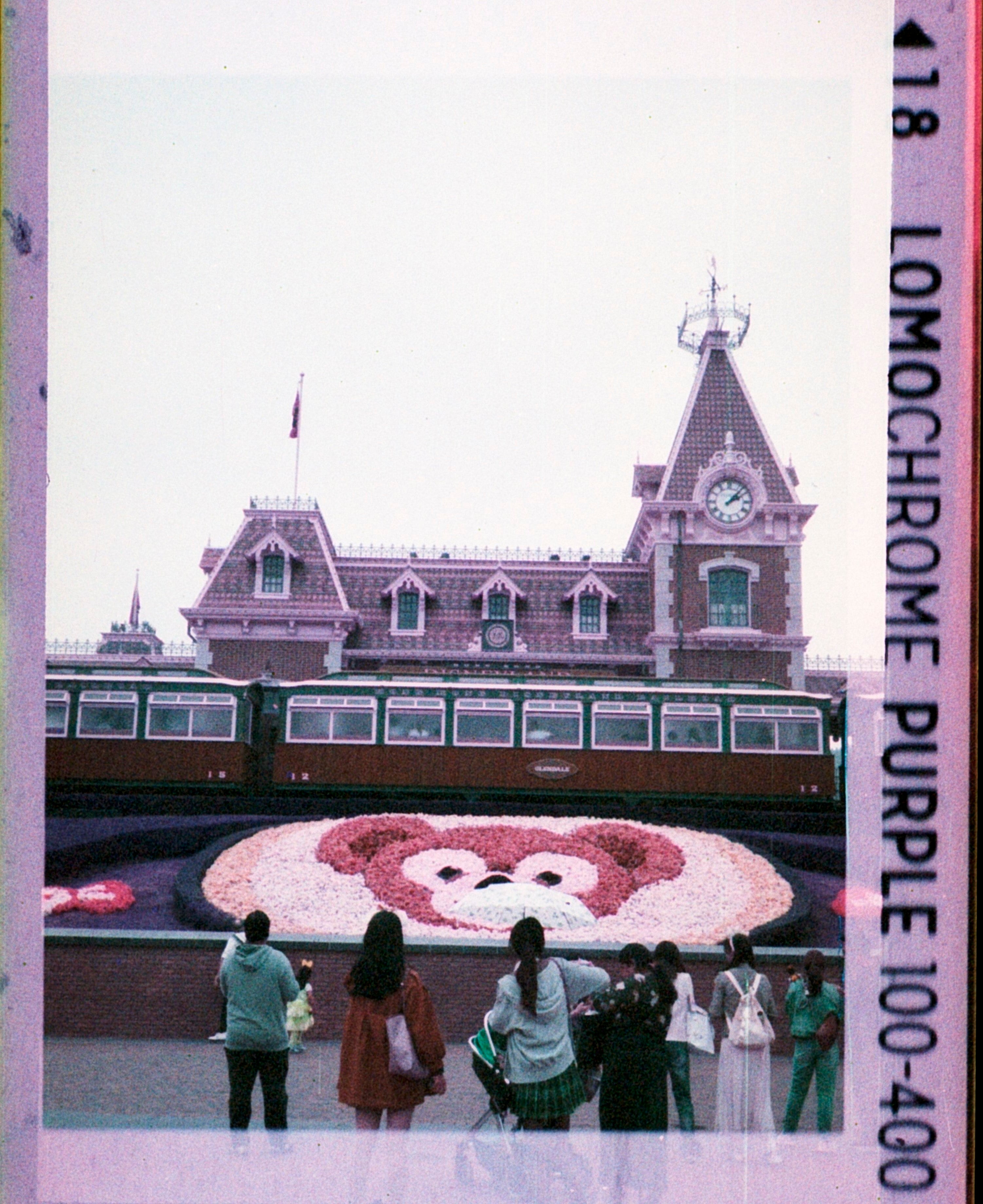 Lomo Lomography LomoChrome Purple ISO 100–400 110 Film紫調負片