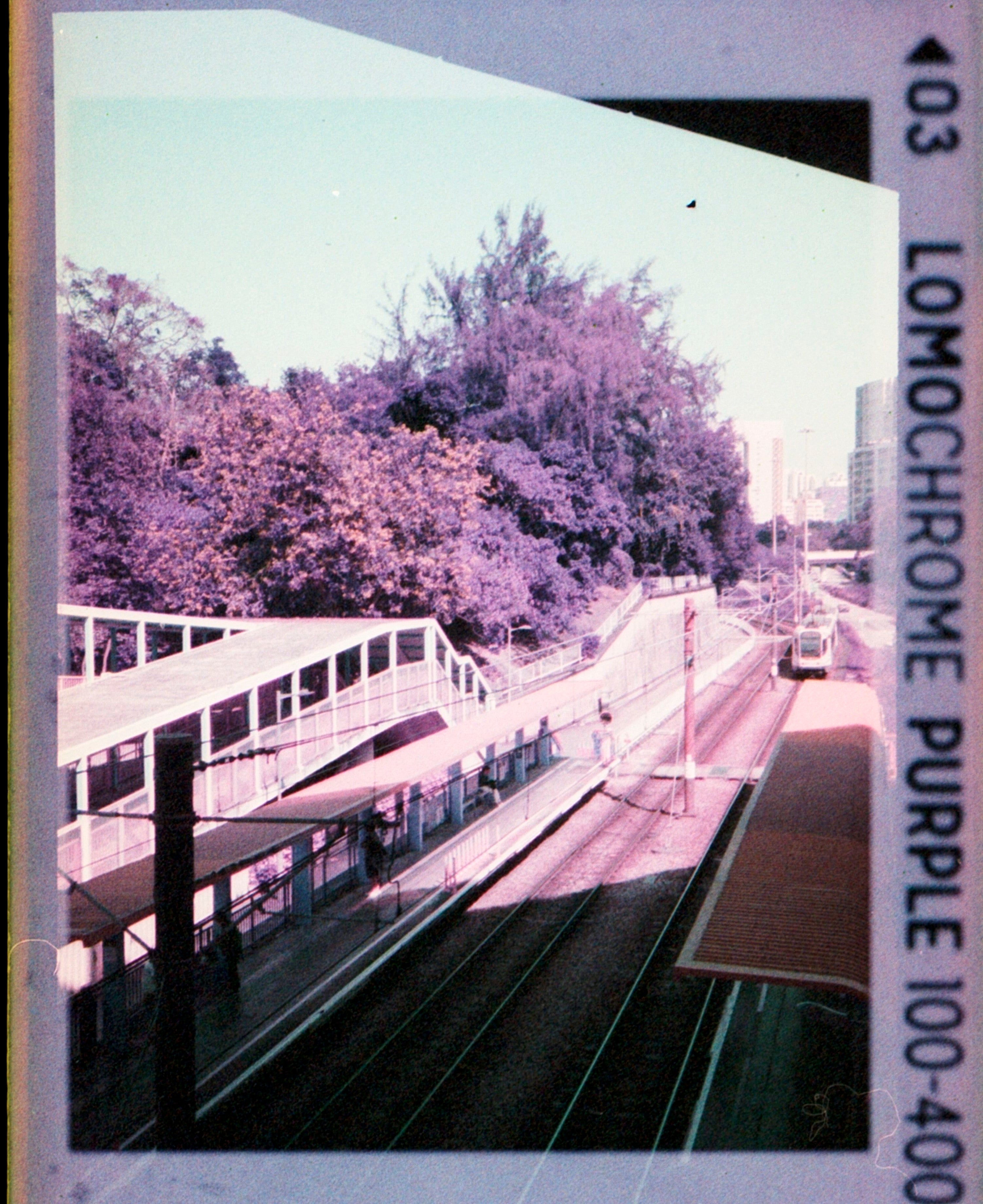 Lomo Lomography LomoChrome Purple ISO 100–400 110 Film紫調負片