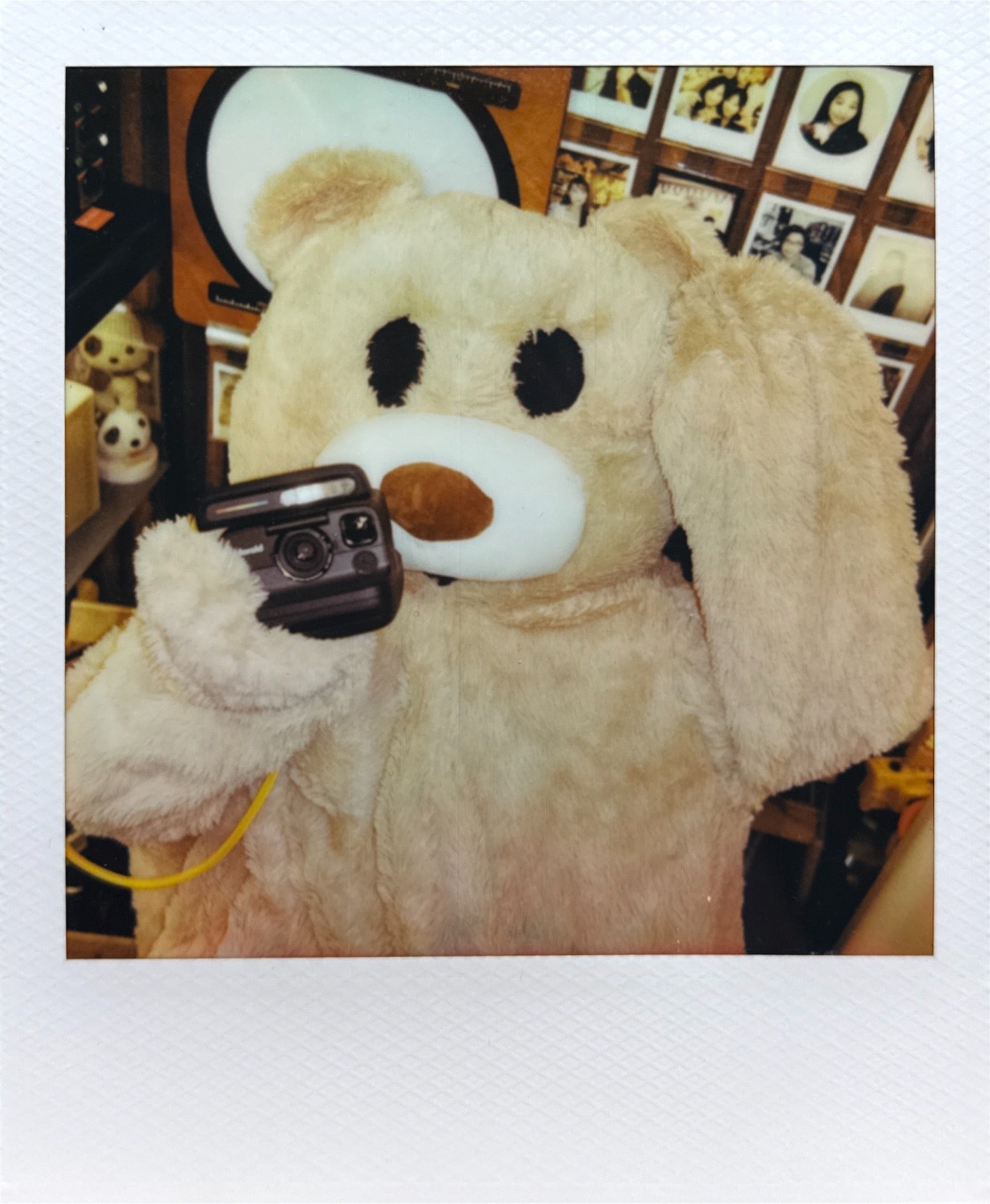 Polaroid Flip Instant Photo Camera 寶麗來Flip即影即有相機