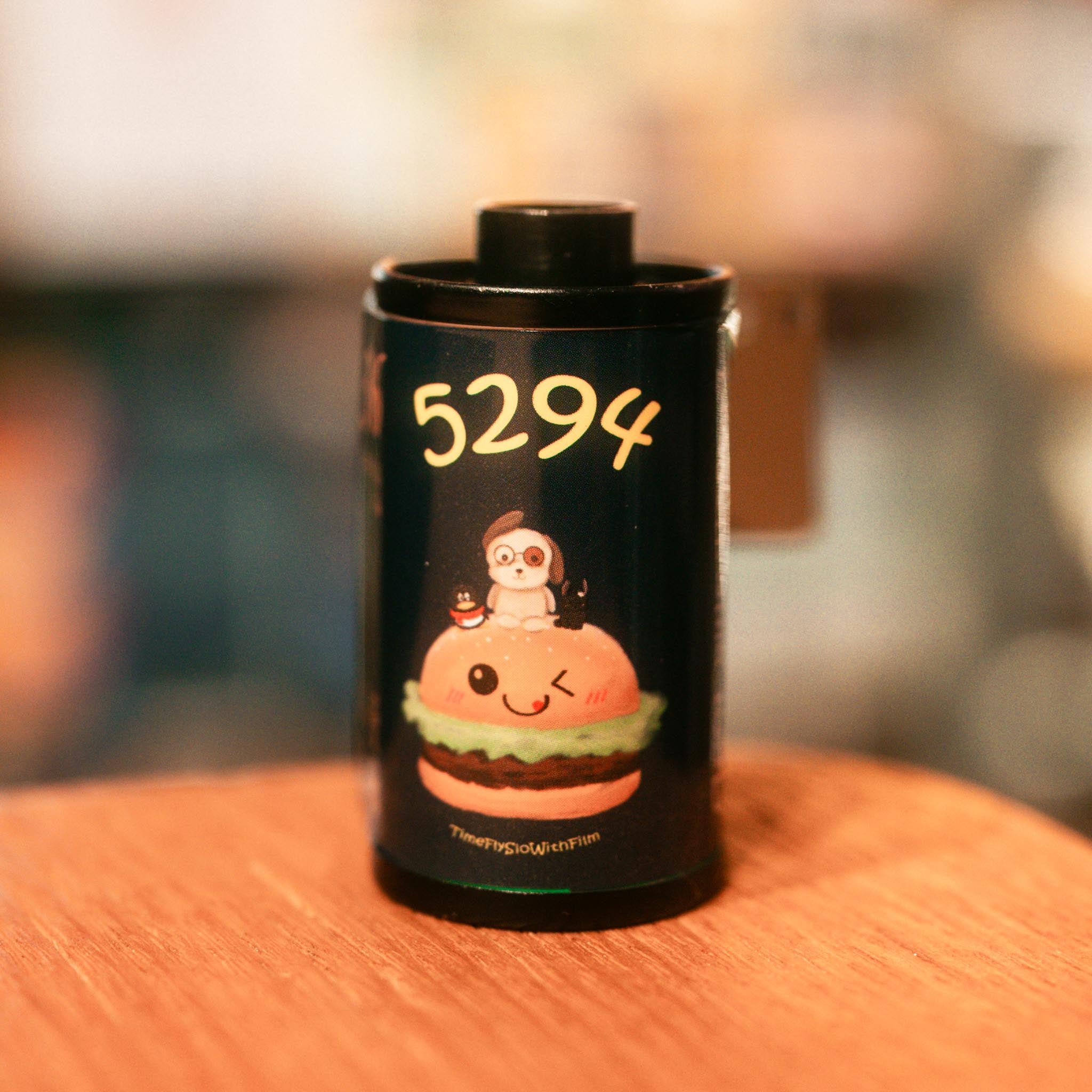 慢曝T5SWF5294 E-6 彩色幻燈片菲林 Color Slide film 感光度Iso: 100