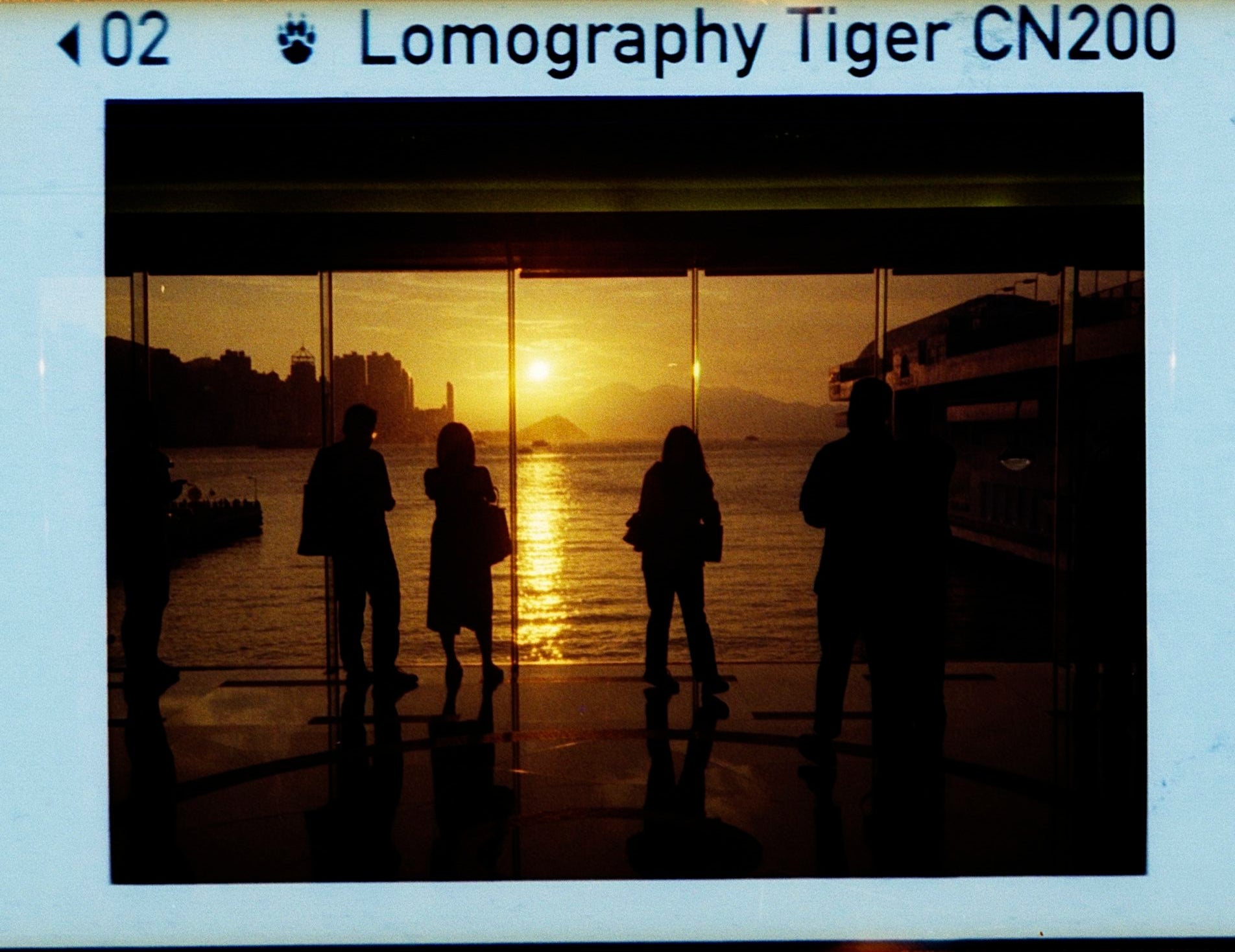 Lomo Lomography Color Tiger ISO 200 110 x3 彩色負片(一盒三卷)
