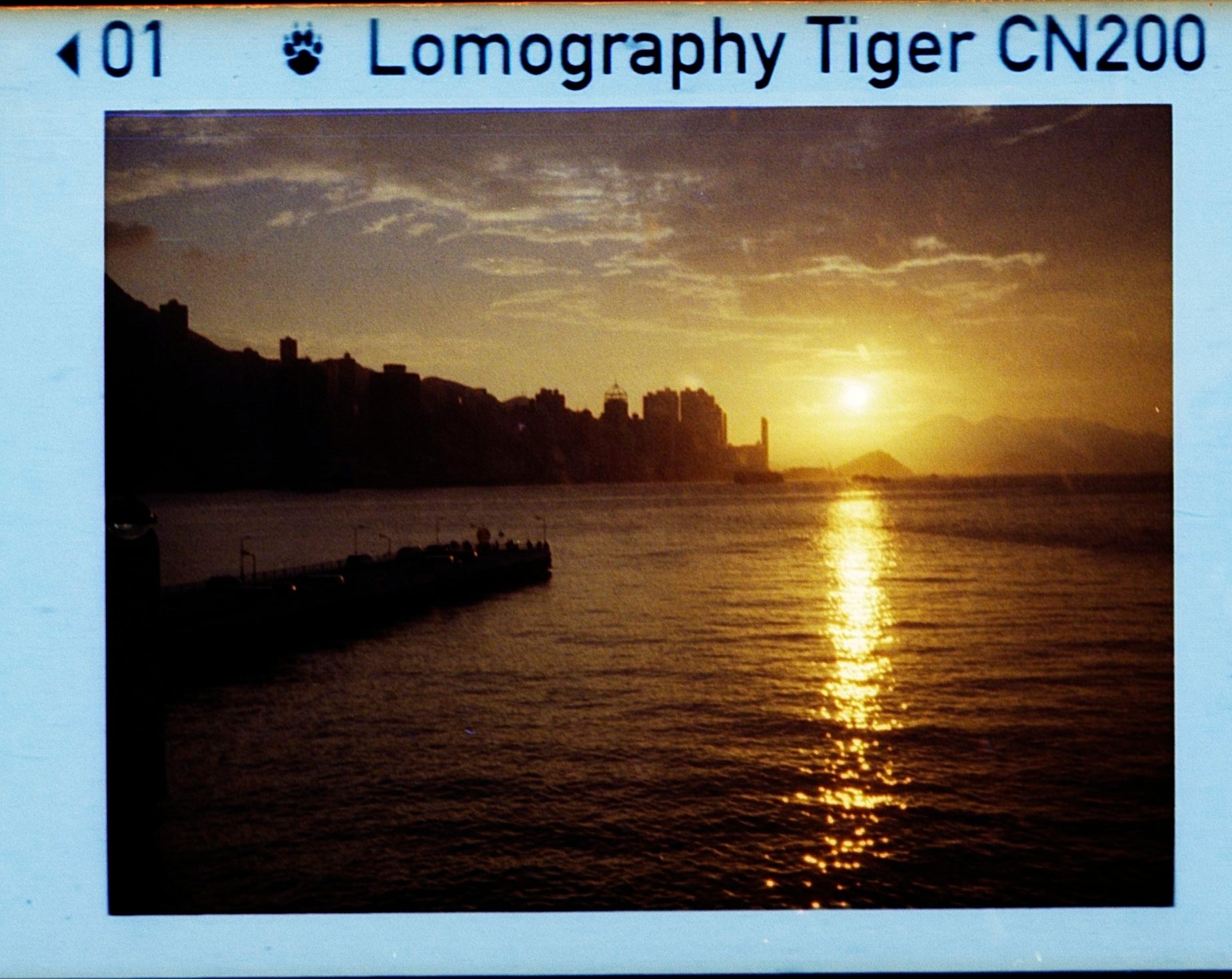 Lomo Lomography Color Tiger ISO 200 110 x3 彩色負片(一盒三卷)