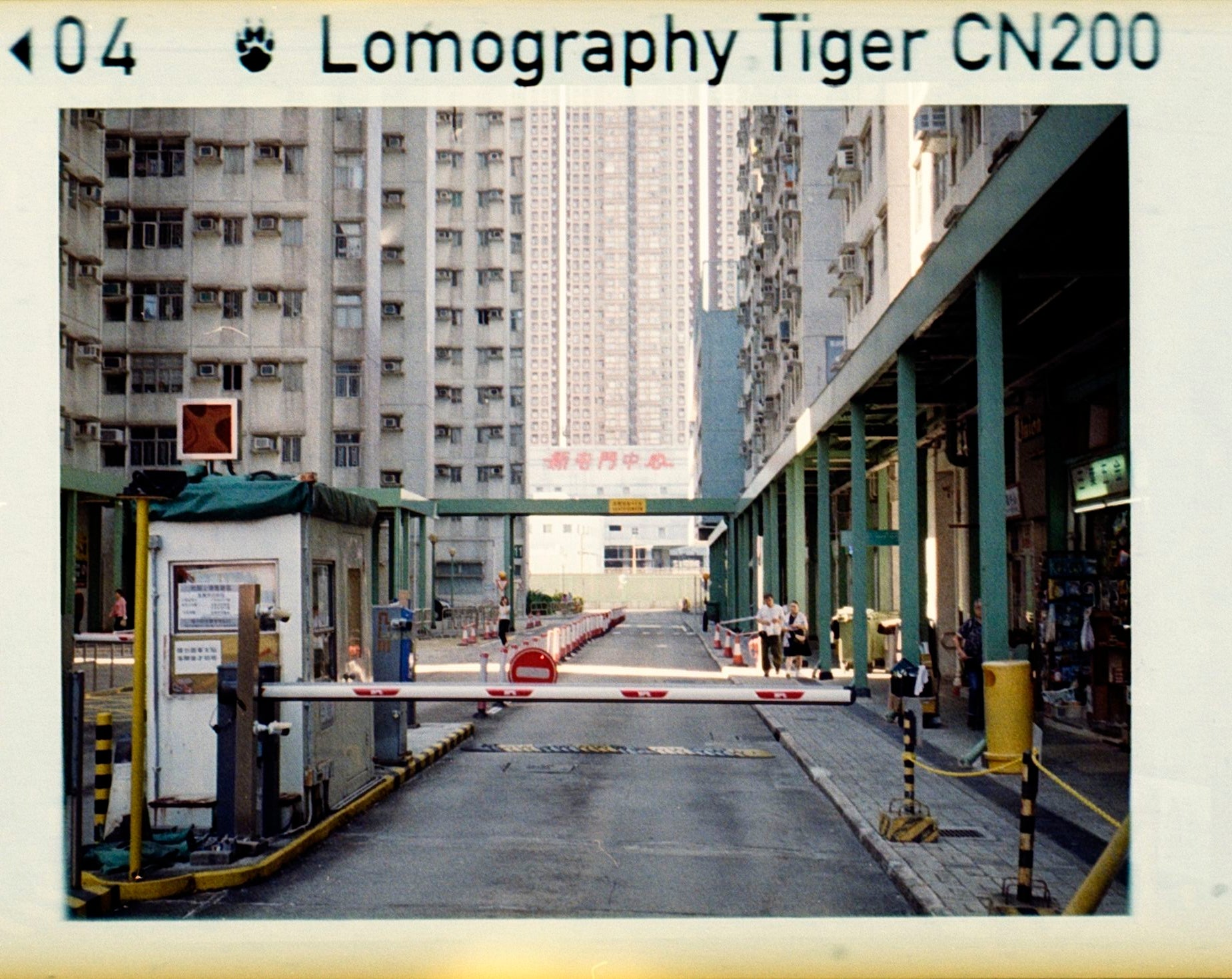 Lomo Lomography Color Tiger ISO 200 110 x3 彩色負片(一盒三卷)