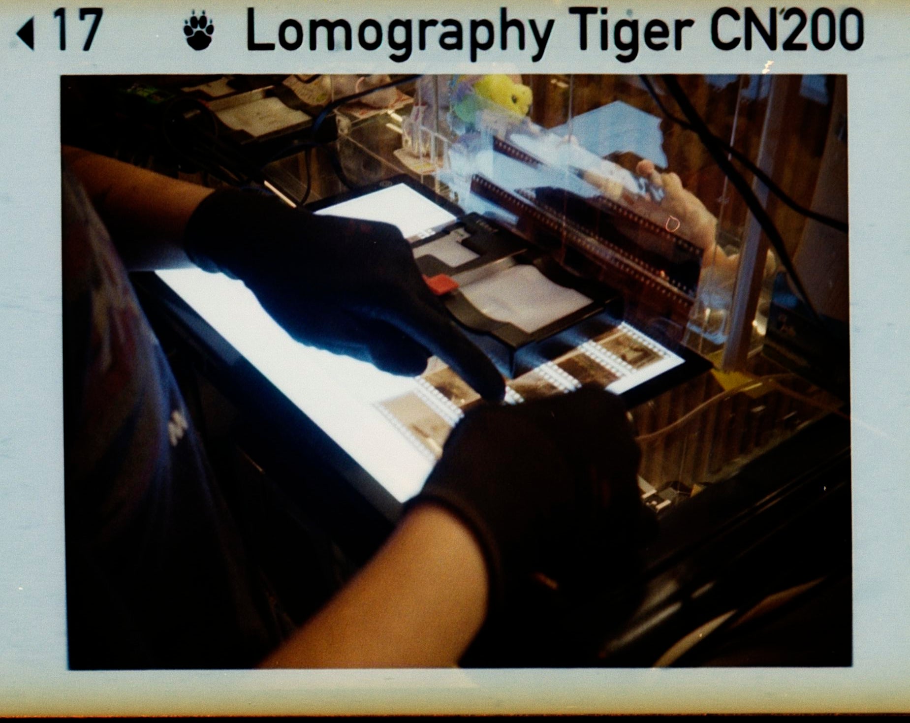 Lomo Lomography Color Tiger ISO 200 110 x3 彩色負片(一盒三卷)