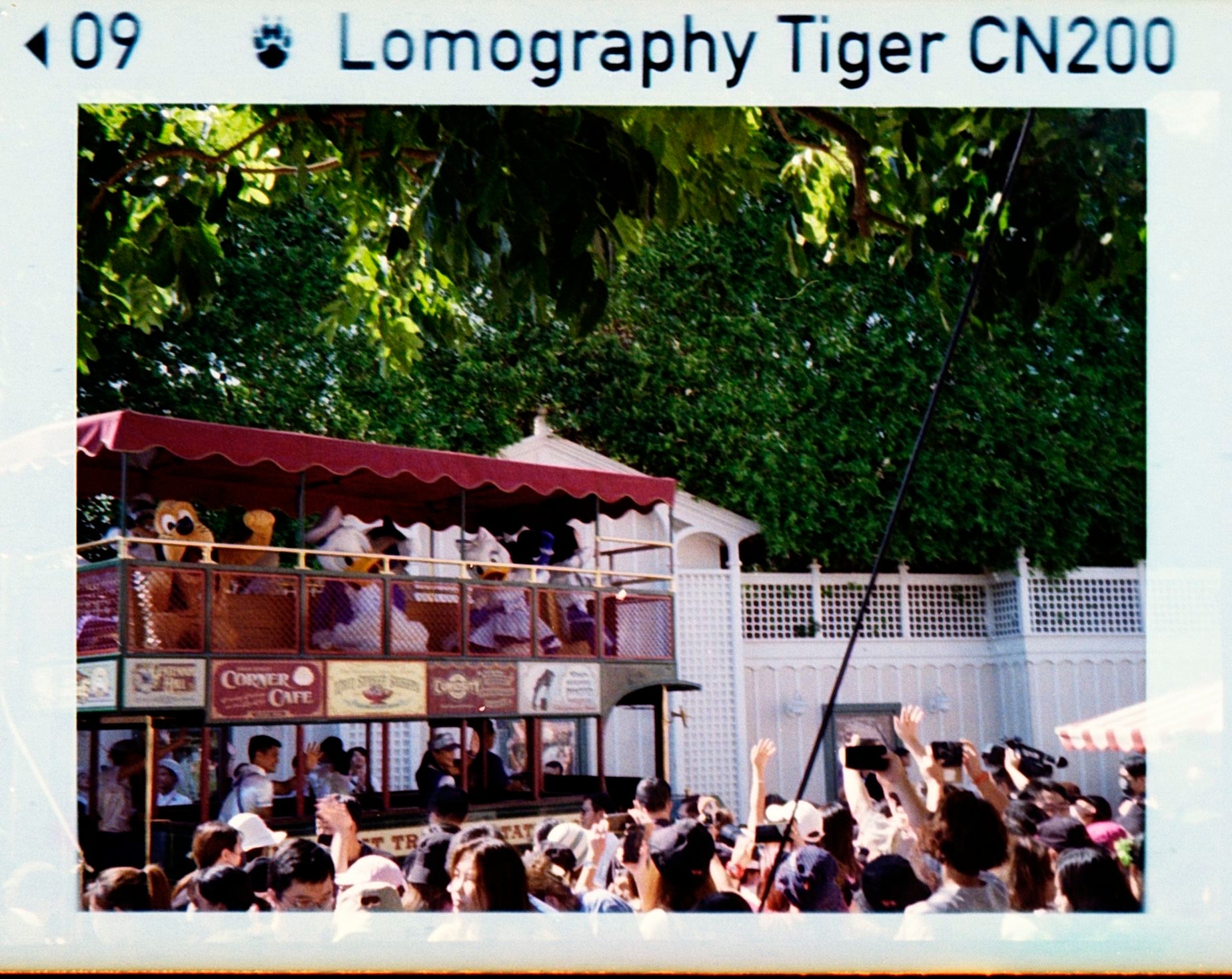Lomo Lomography Color Tiger ISO 200 110 x3 彩色負片(一盒三卷)