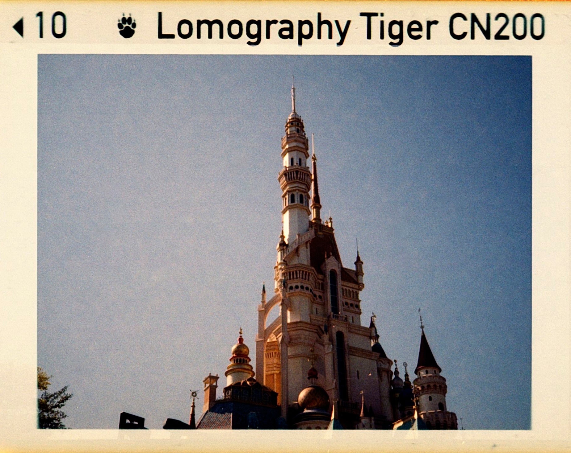 Lomo Lomography Color Tiger ISO 200 110 x3 彩色負片(一盒三卷)