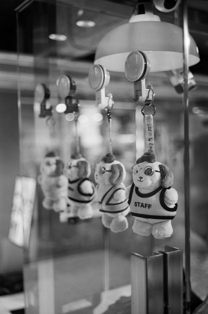 Ilford XP2 彩色沖洗的黑白菲林 C41 Process B&W Film 36EXP