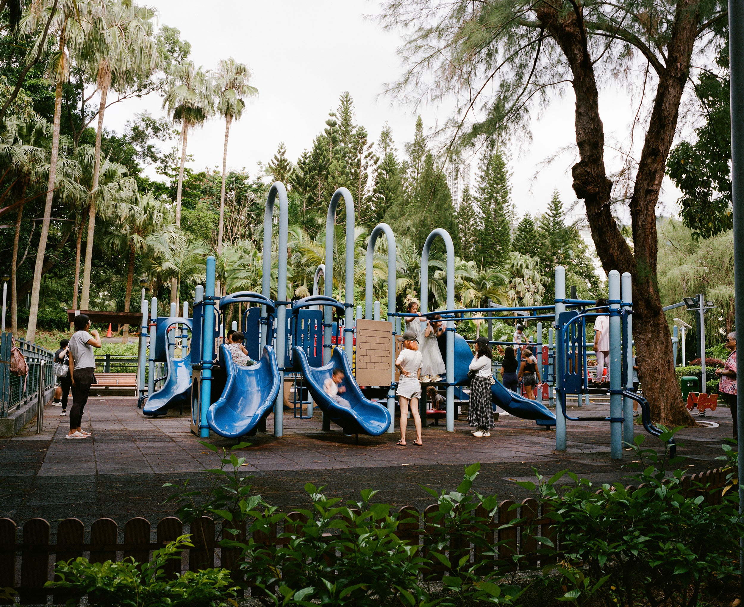 Kodak PORTRA 400  C-41 120 彩色負片菲林 Color Negative film 感光度Iso: 400