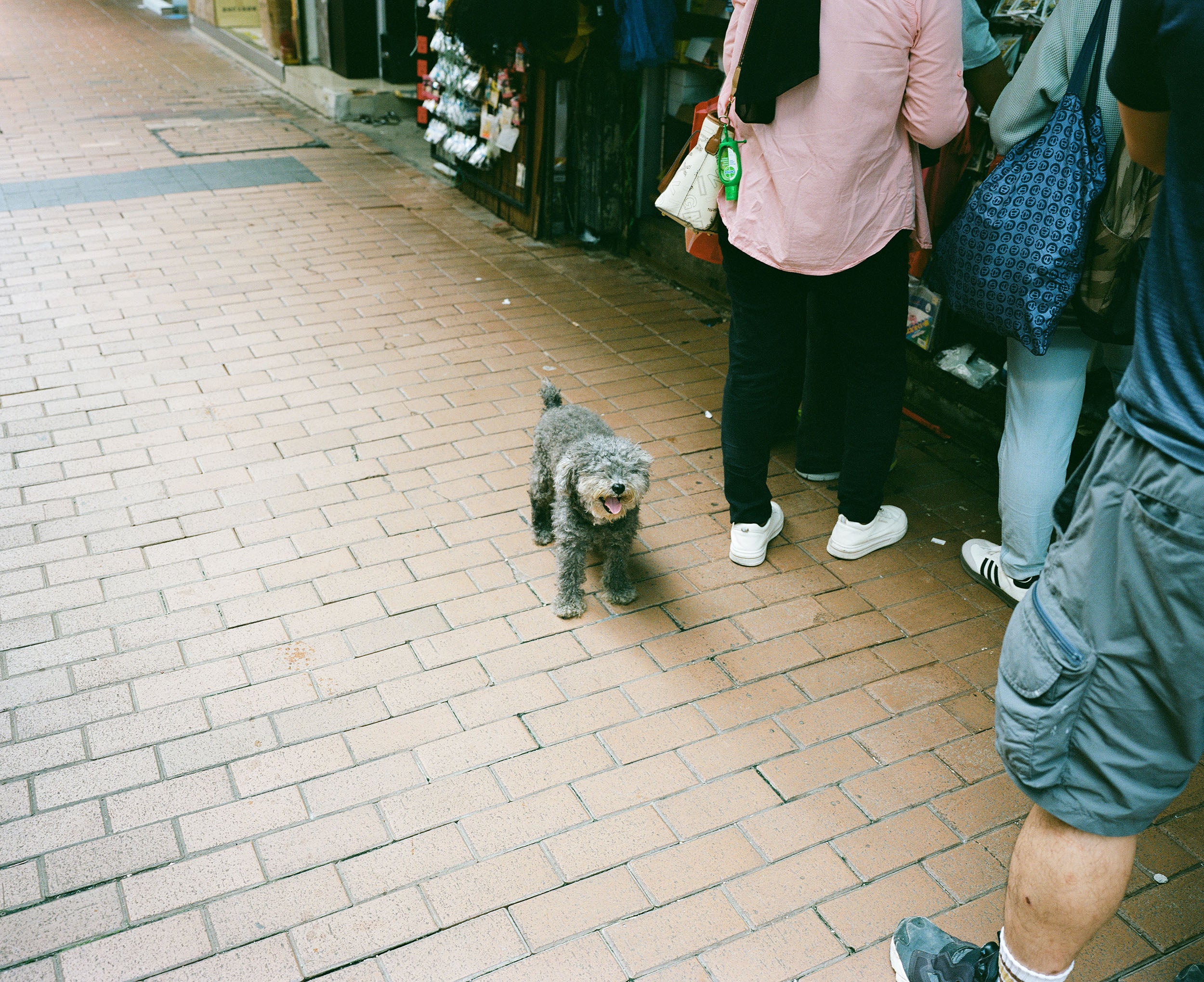 Kodak PORTRA 400  C-41 120 彩色負片菲林 Color Negative film 感光度Iso: 400