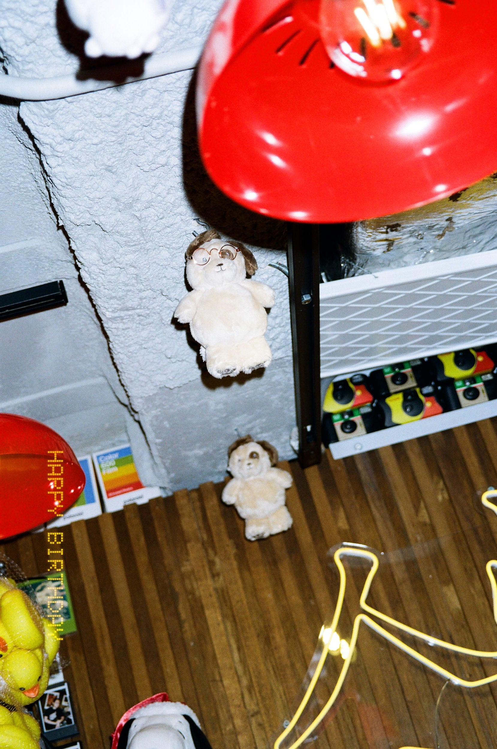 Kodak 柯達 KODACOLOR 10036 EXP 彩色負片菲林  C-41 Color Negative film  感光度Iso:100