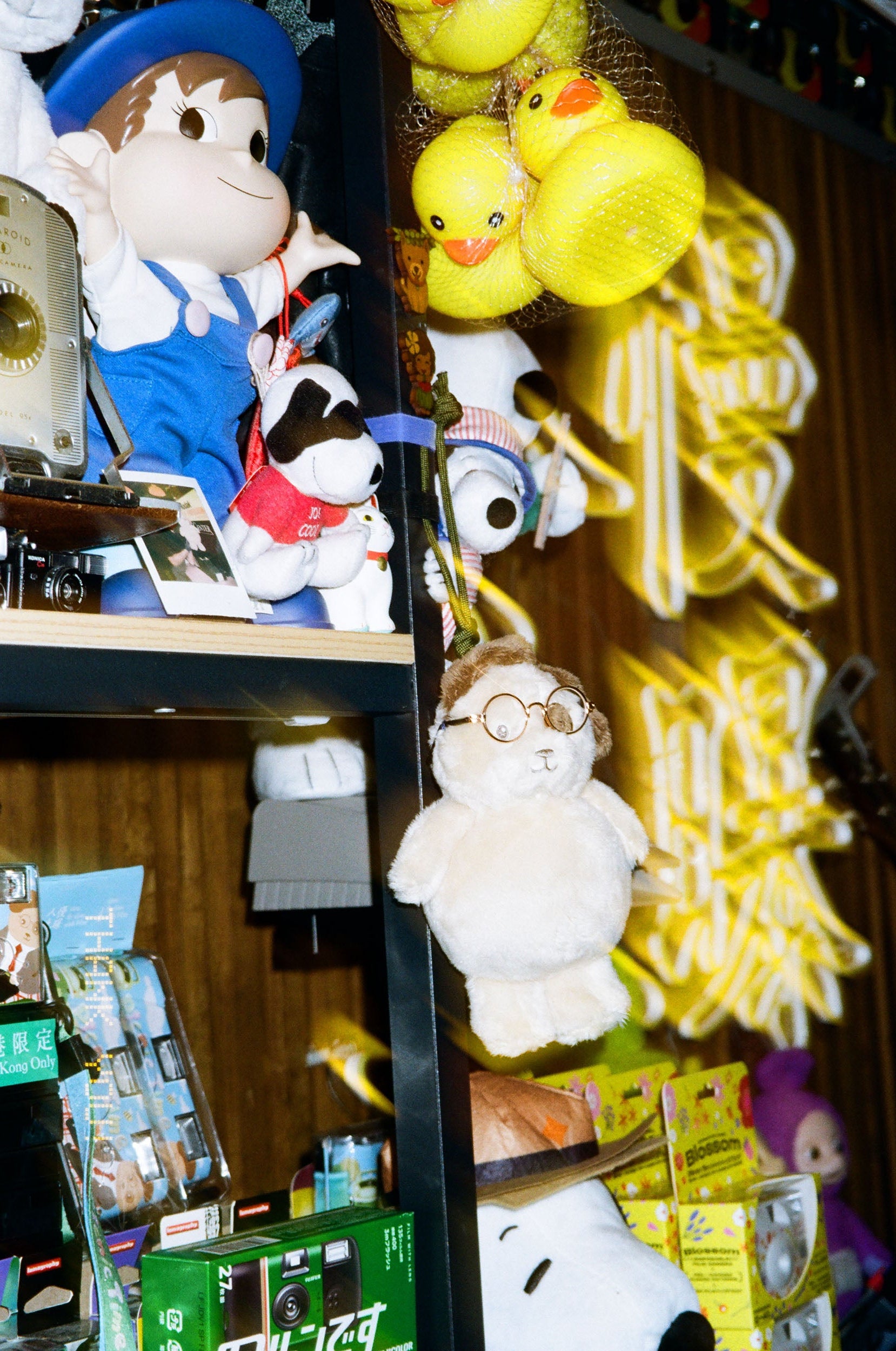 Kodak 柯達 KODACOLOR 10036 EXP 彩色負片菲林  C-41 Color Negative film  感光度Iso:100