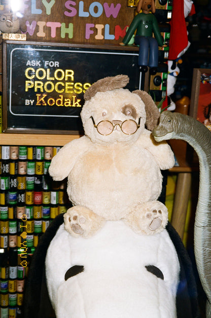 Kodak 柯達 KODACOLOR 10036 EXP 彩色負片菲林  C-41 Color Negative film  感光度Iso:100