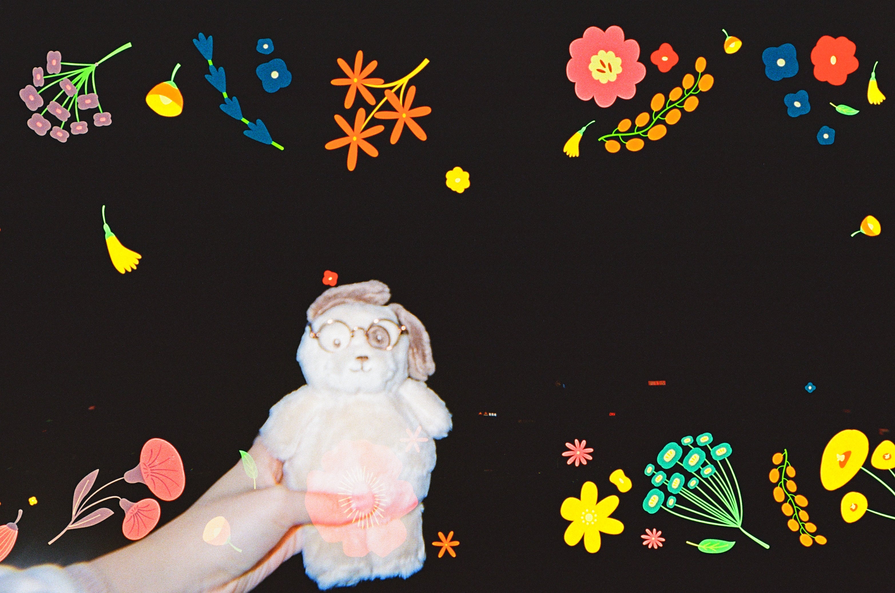 Blossom Pre-exposed flower patterns Single Use film camera 預曝花花圖案一次性菲林相機