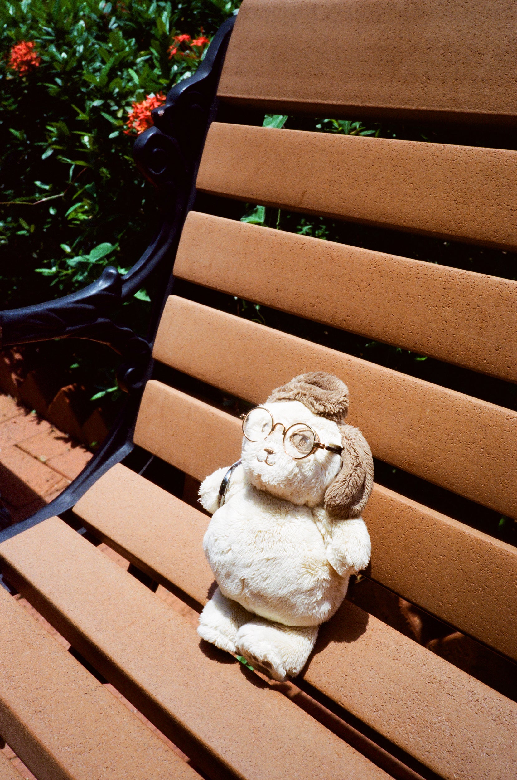 慢曝 T5SWF 4U C-41 135彩色負片菲林 Color Negative film 感光度Iso:400 (DX Coded)