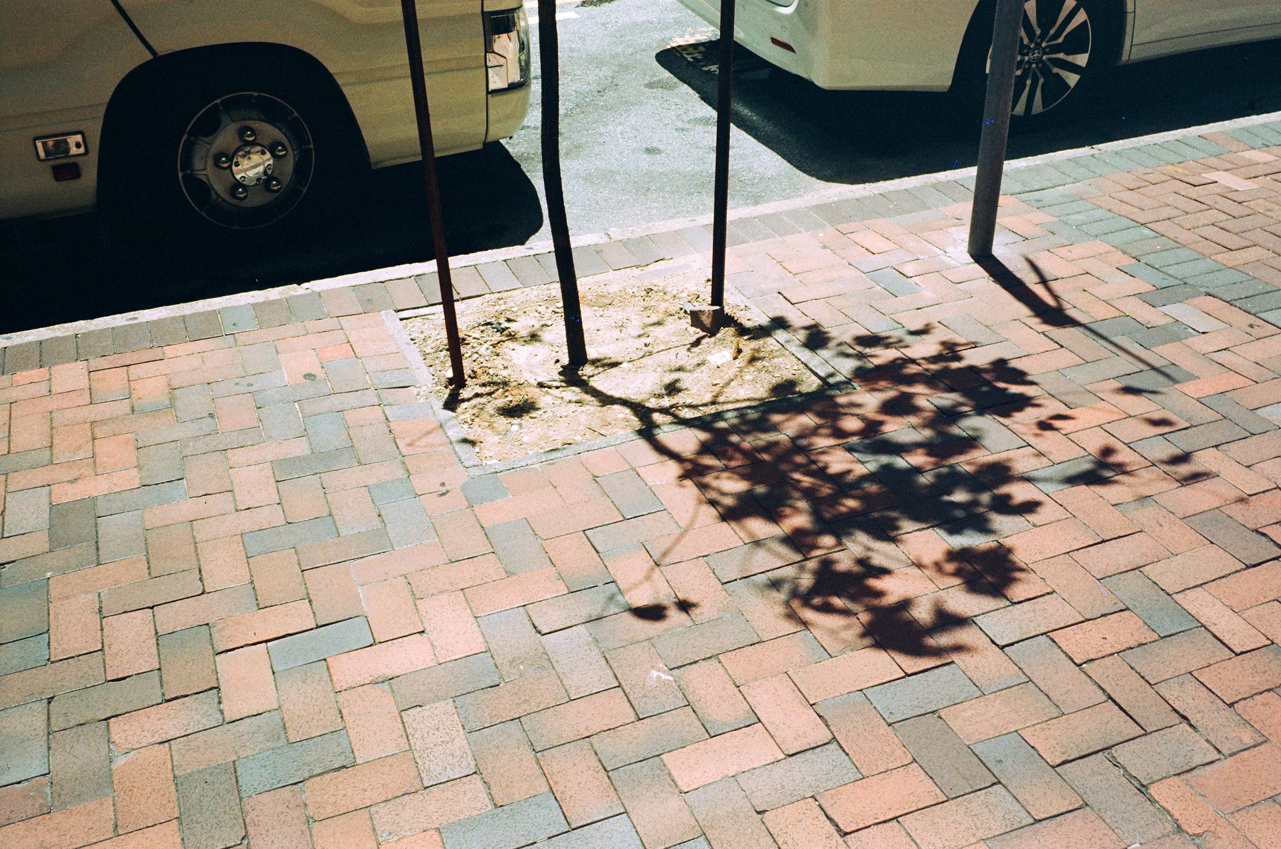 慢曝 T5SWF hana 夏の情熱 C-41 135彩色負片菲林 Color Negative film 感光度Iso:100 (DX Coded) 24EXP