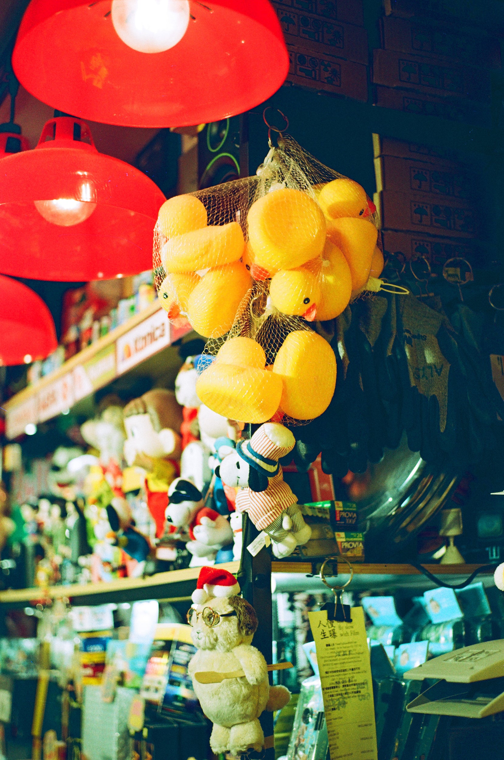 慢曝 T5SWF hana 夏の情熱 C-41 135彩色負片菲林 Color Negative film 感光度Iso:100 (DX Coded) 24EXP