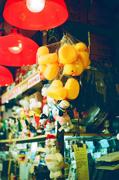 慢曝 T5SWF hana 夏の情熱 C-41 135彩色負片菲林 Color Negative film 感光度Iso:100 (DX Coded) 24EXP