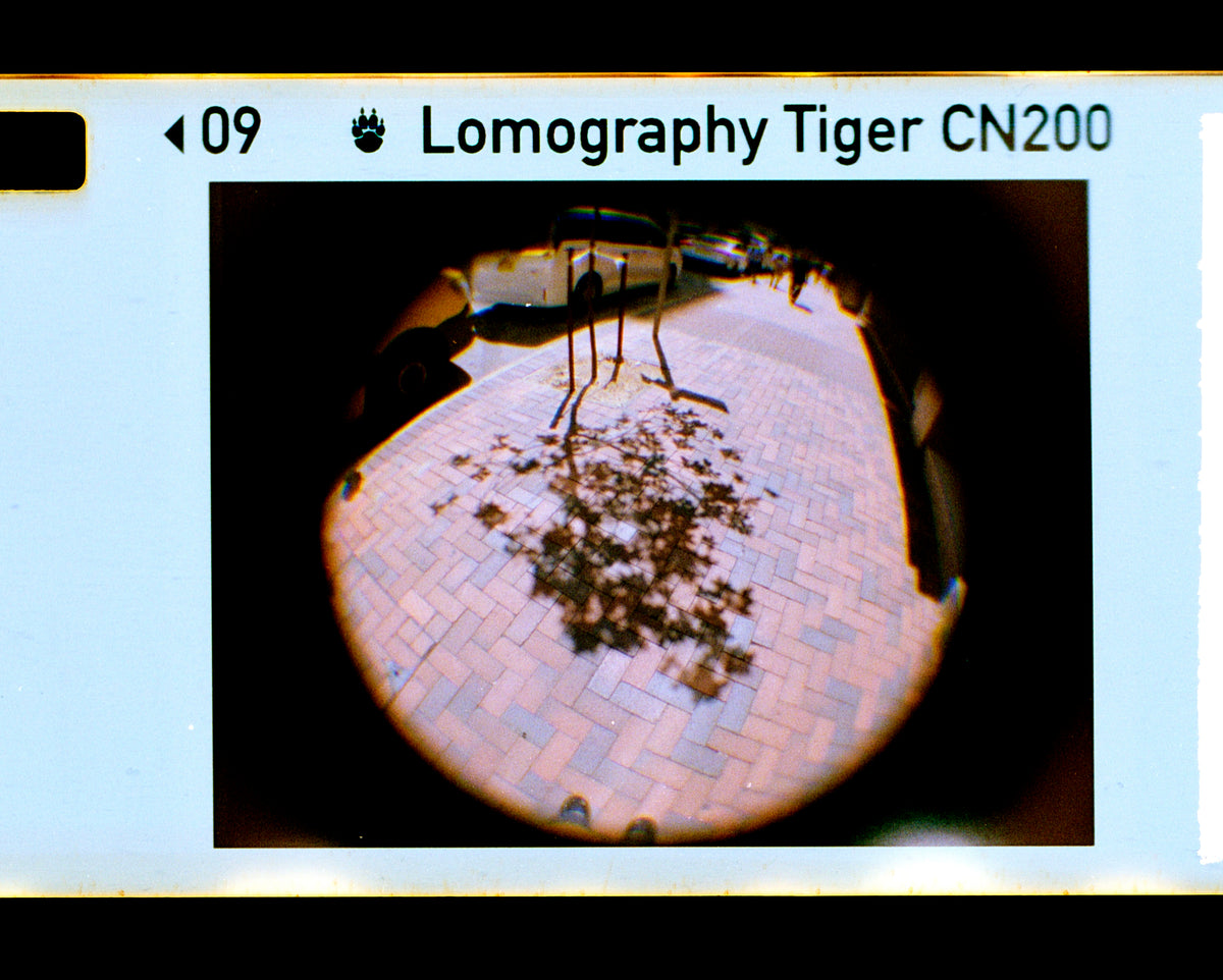 Lomography Fisheye Baby 110 菲林相機－金色版本