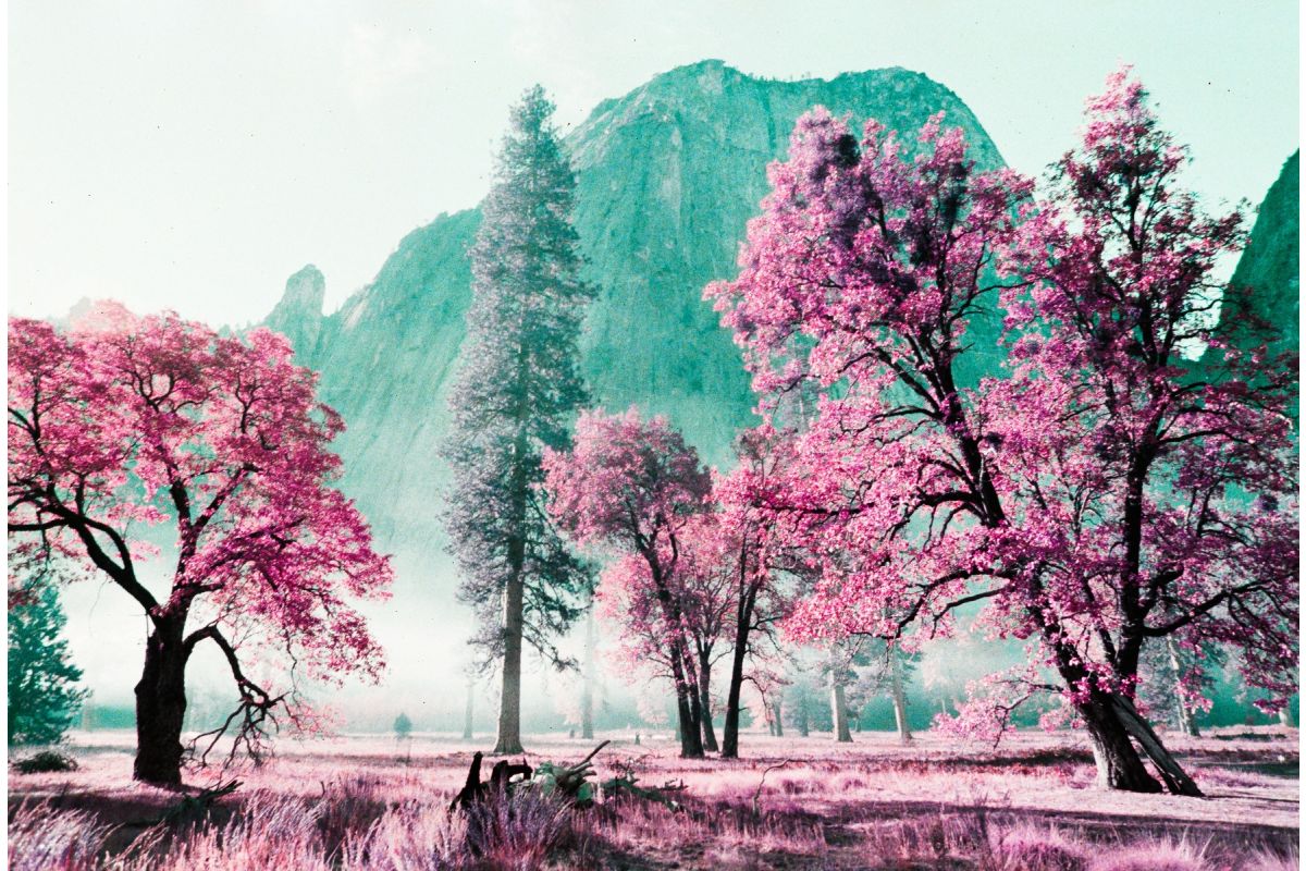 Lomo Lomography Analogue Trio 35mm 菲林三重奏套裝連金屬菲林罐