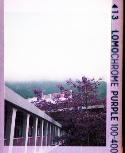 Lomo Lomography LomoChrome Purple ISO 100–400 110 Film紫調負片