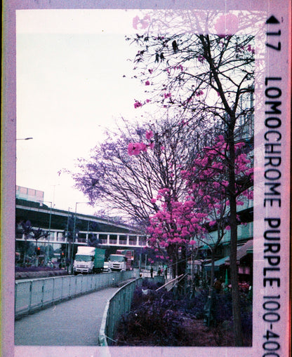 Lomo Lomography LomoChrome Purple ISO 100–400 110 Film紫調負片