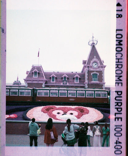Lomo Lomography LomoChrome Purple ISO 100–400 110 Film紫調負片