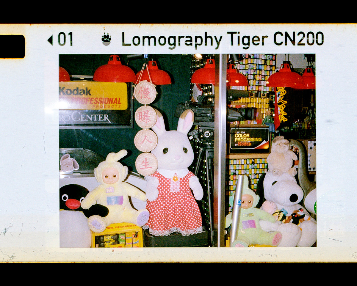 Lomography Color Tiger 110 ISO 200