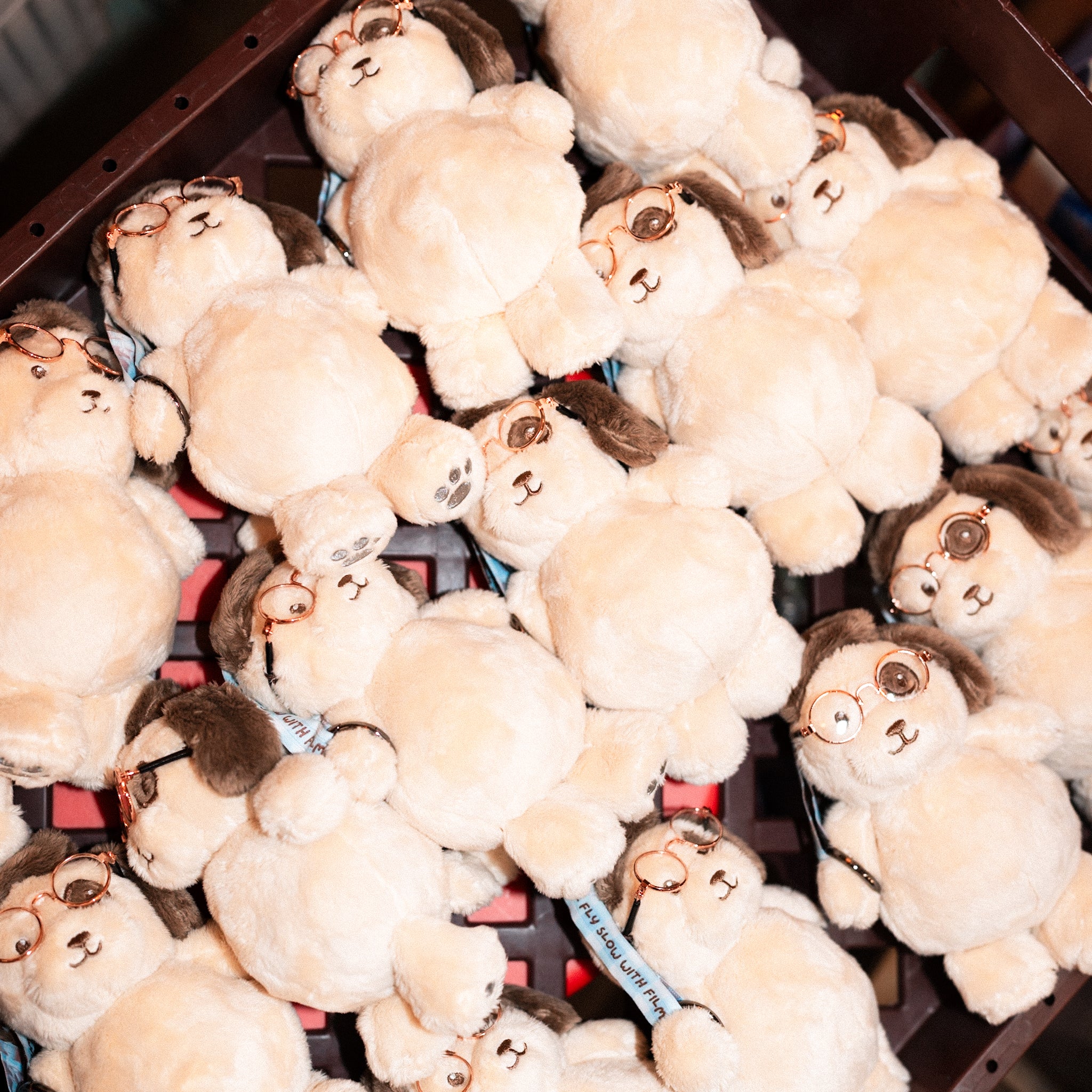 T5SWF Baby9Euro 慢曝狗勾bb (香港國際機場限定 Hong Kong Int Airport Exclusive)