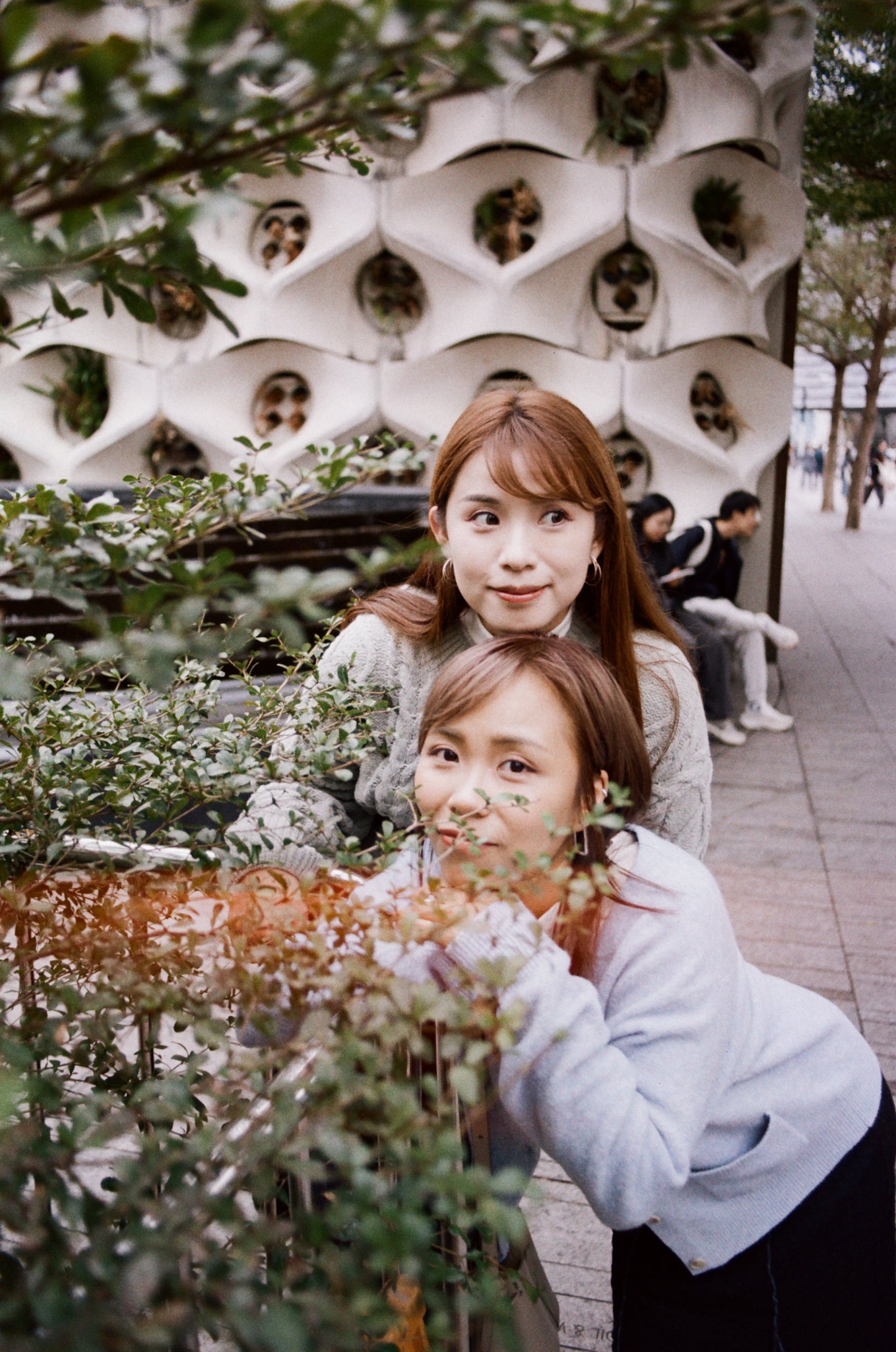 慢曝T5SWF The Four Seasons  C-41 135彩色負片菲林 Color Negative film 感光度Iso: 100-400