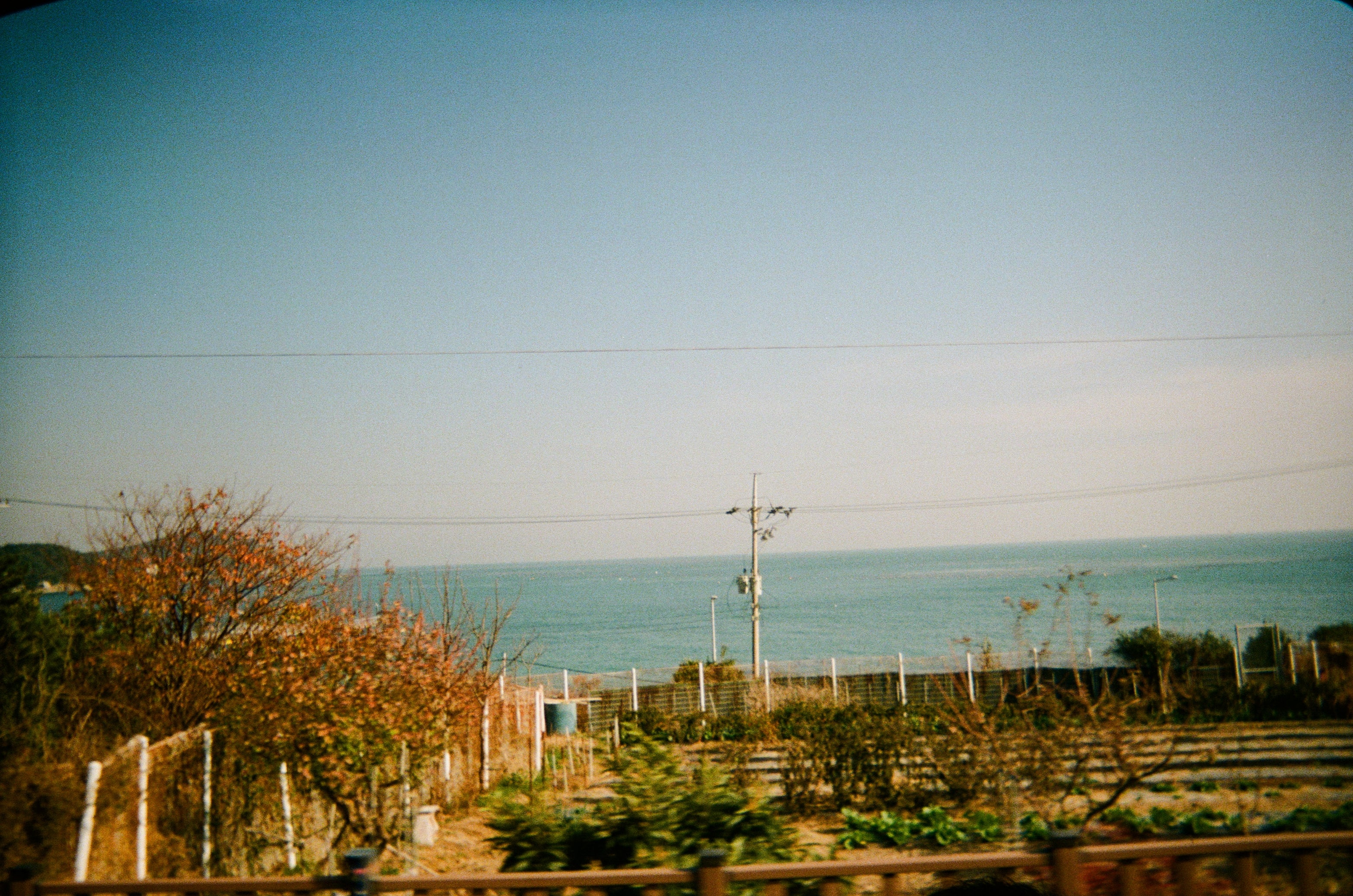 Kodak Power Flash 39張EXP 一次性菲林相機 Single Use Camera