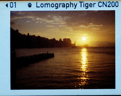 Lomo Lomography Color Tiger ISO 200 110 x3 彩色負片（一盒三卷）