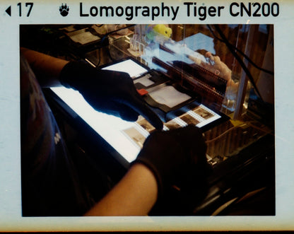 Lomo Lomography Color Tiger ISO 200 110 x3 彩色負片（一盒三卷）