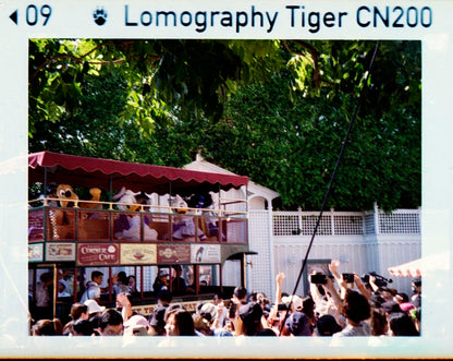 Lomo Lomography Color Tiger ISO 200 110 x3 彩色負片（一盒三卷）
