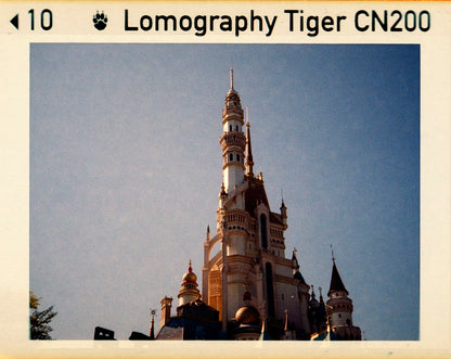 Lomo Lomography Color Tiger ISO 200 110 x3 彩色負片（一盒三卷）